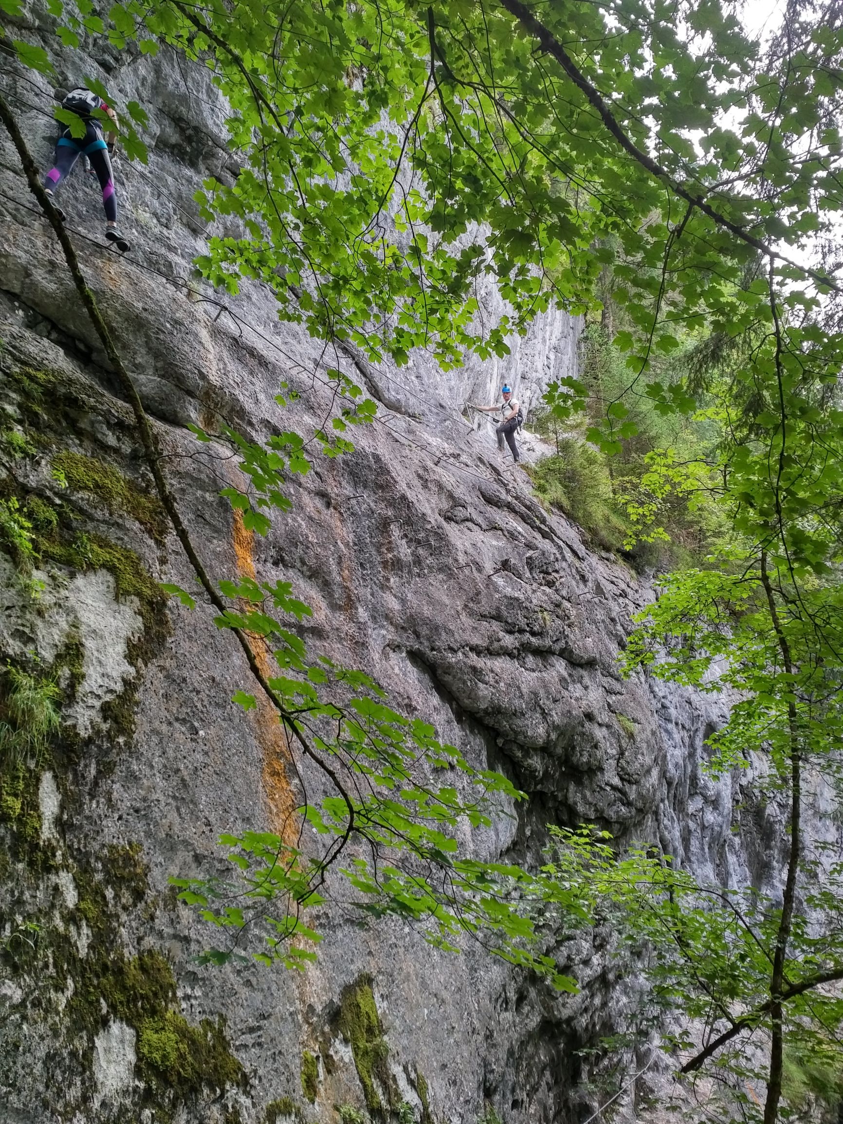 190901_1133251.jpg