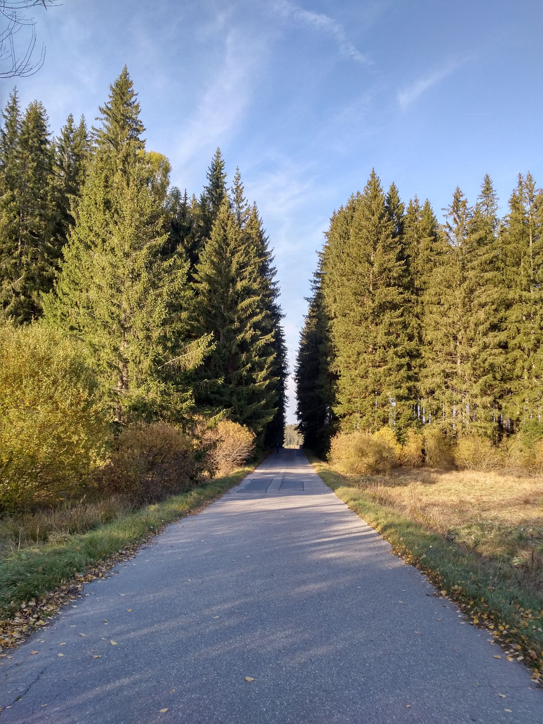 191027_1521259.jpg
