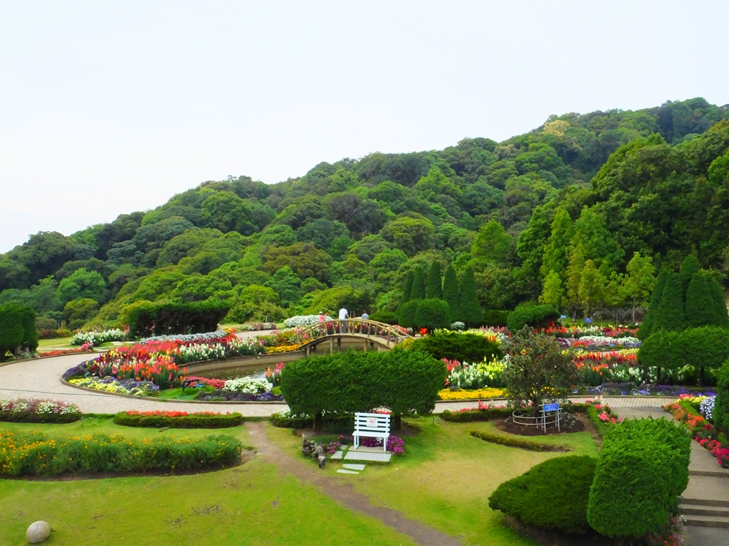 DSCF2884.JPG