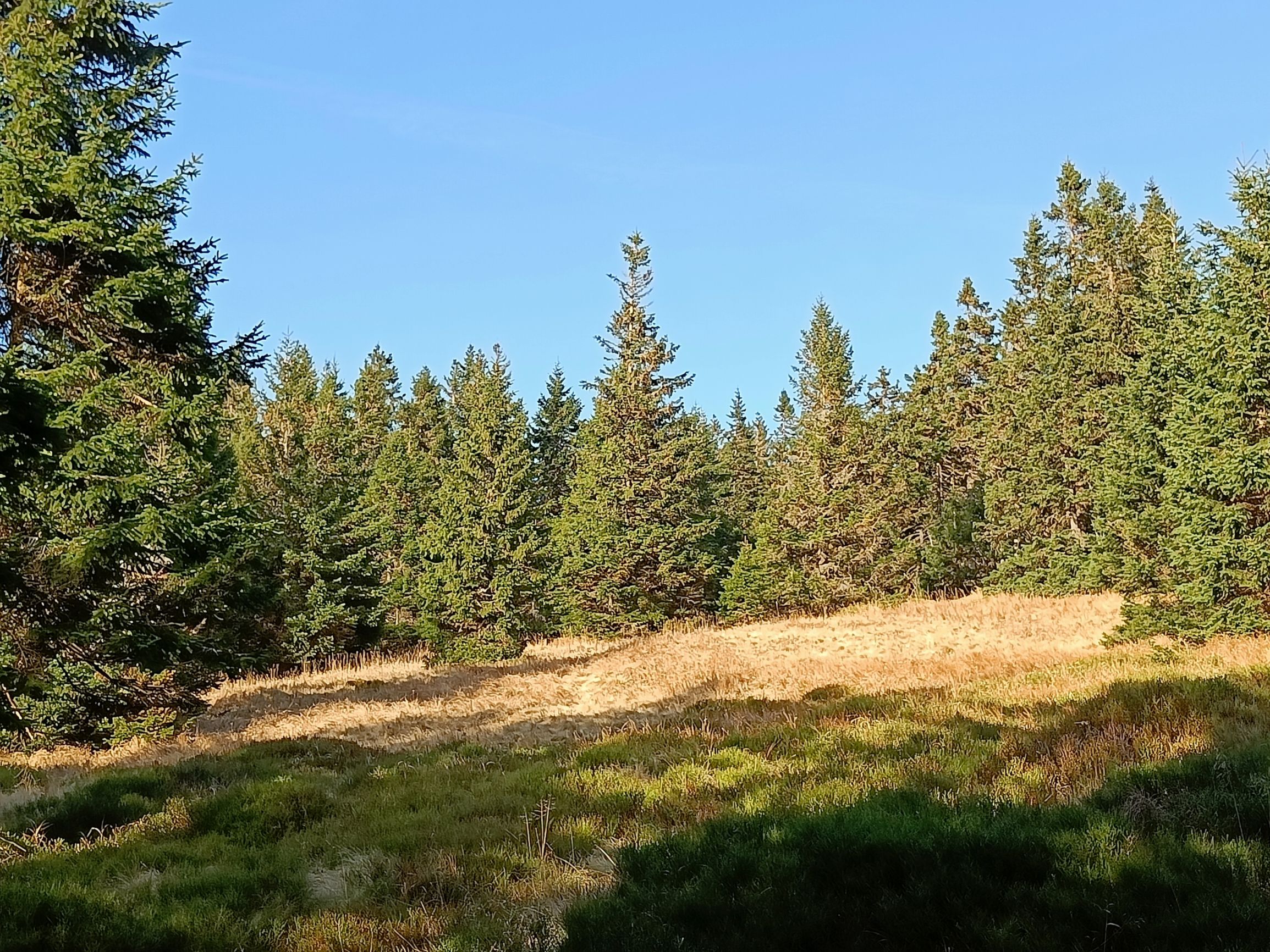 221028-153013.jpg