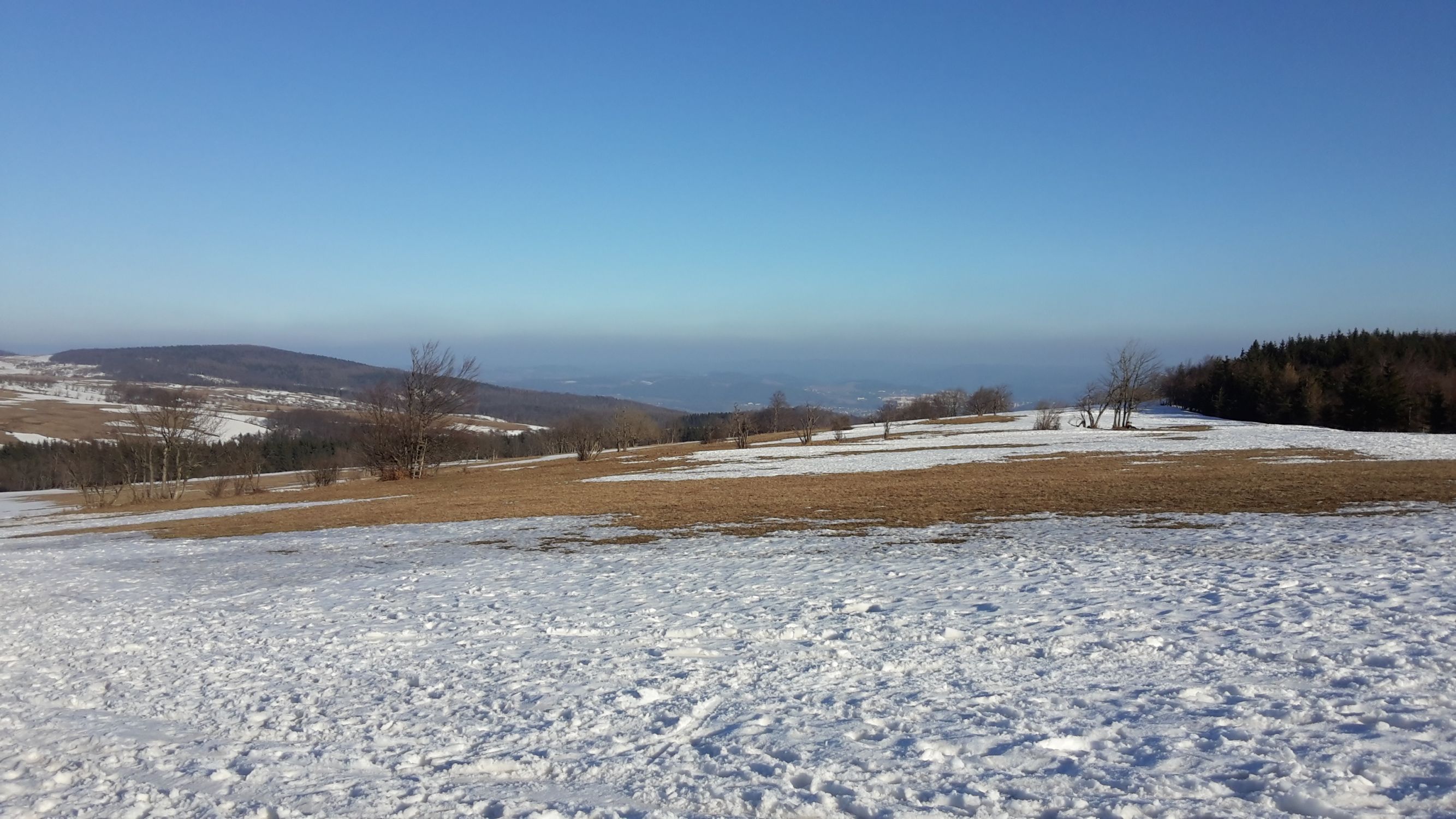 210228_154436.jpg