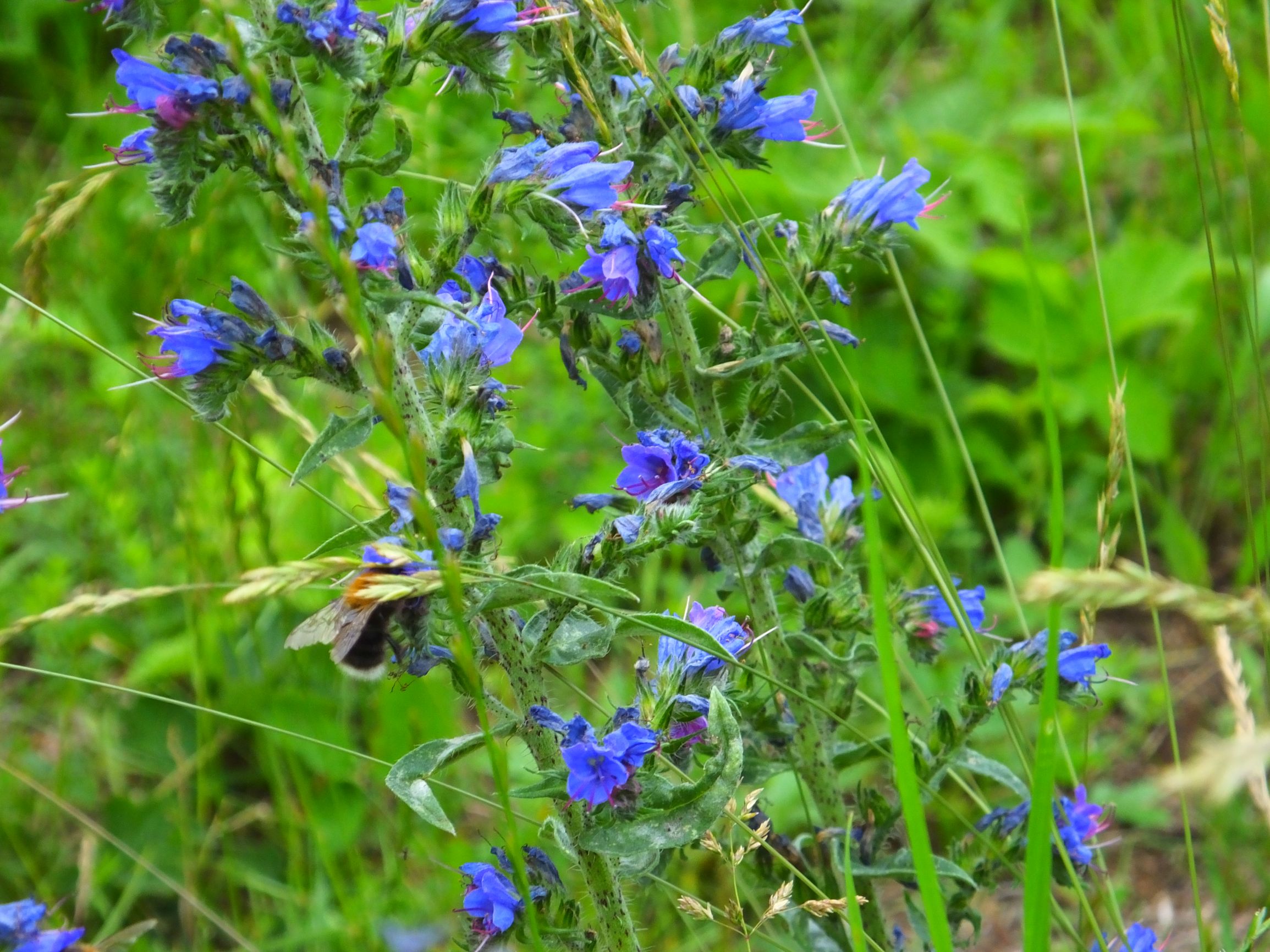 DSCF6772.JPG