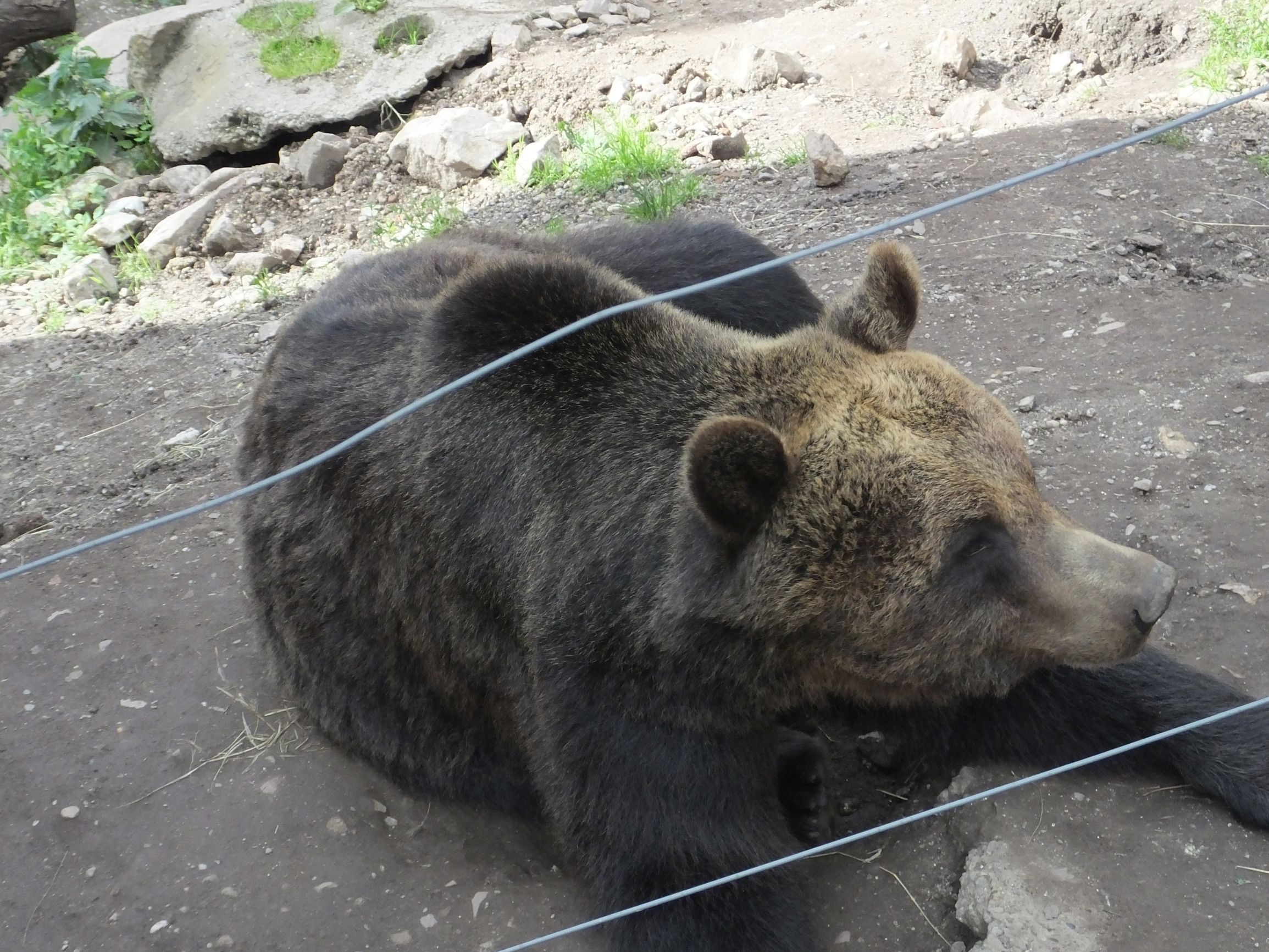 DSCF6811.JPG