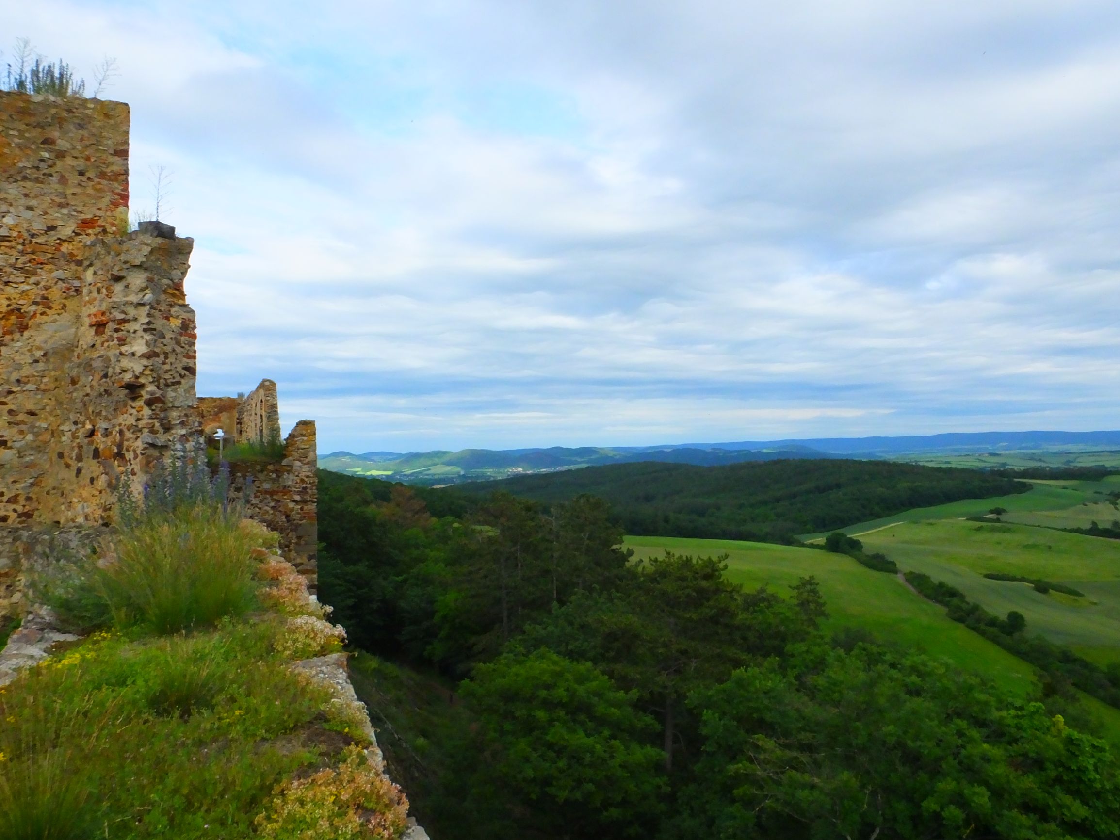 DSCF6786.JPG