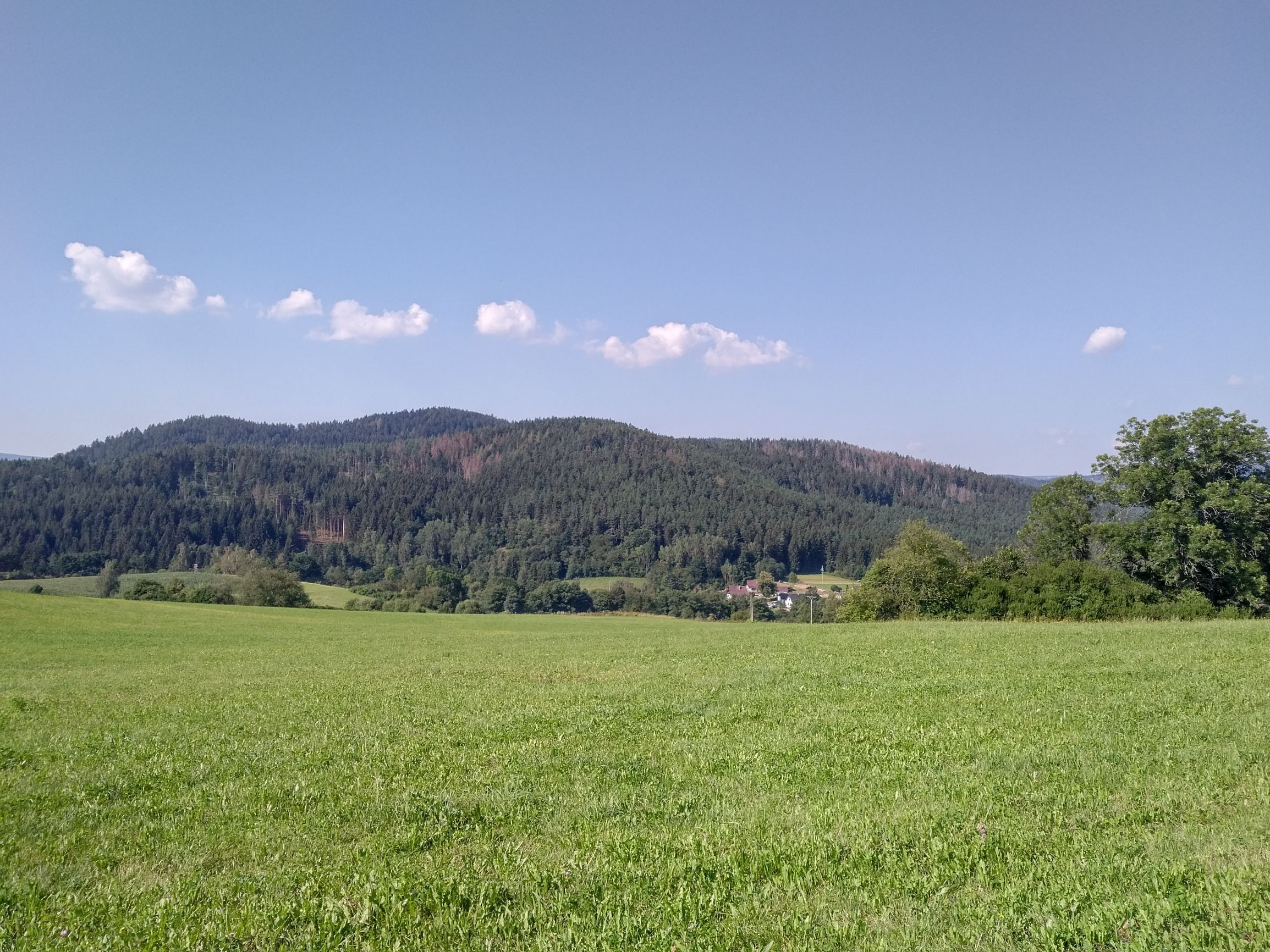 E_200808_0950251.jpg