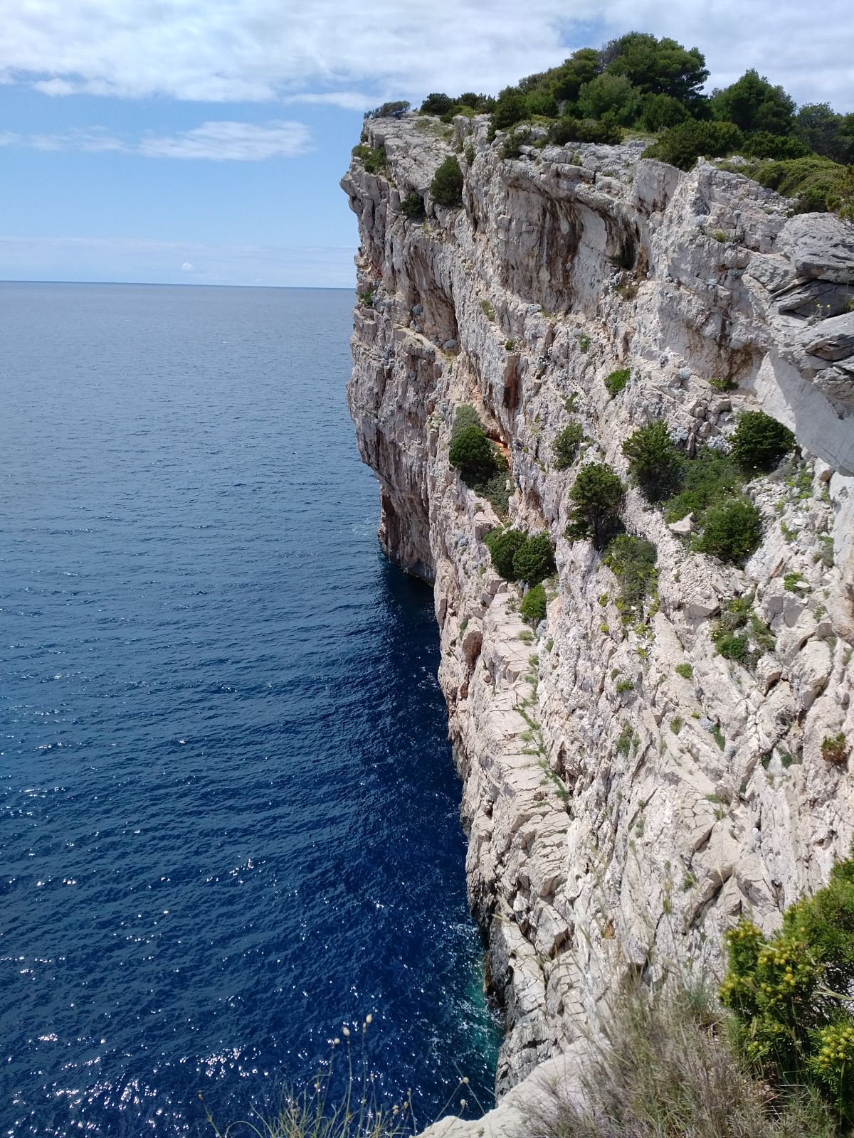 20190530_1342475.jpg