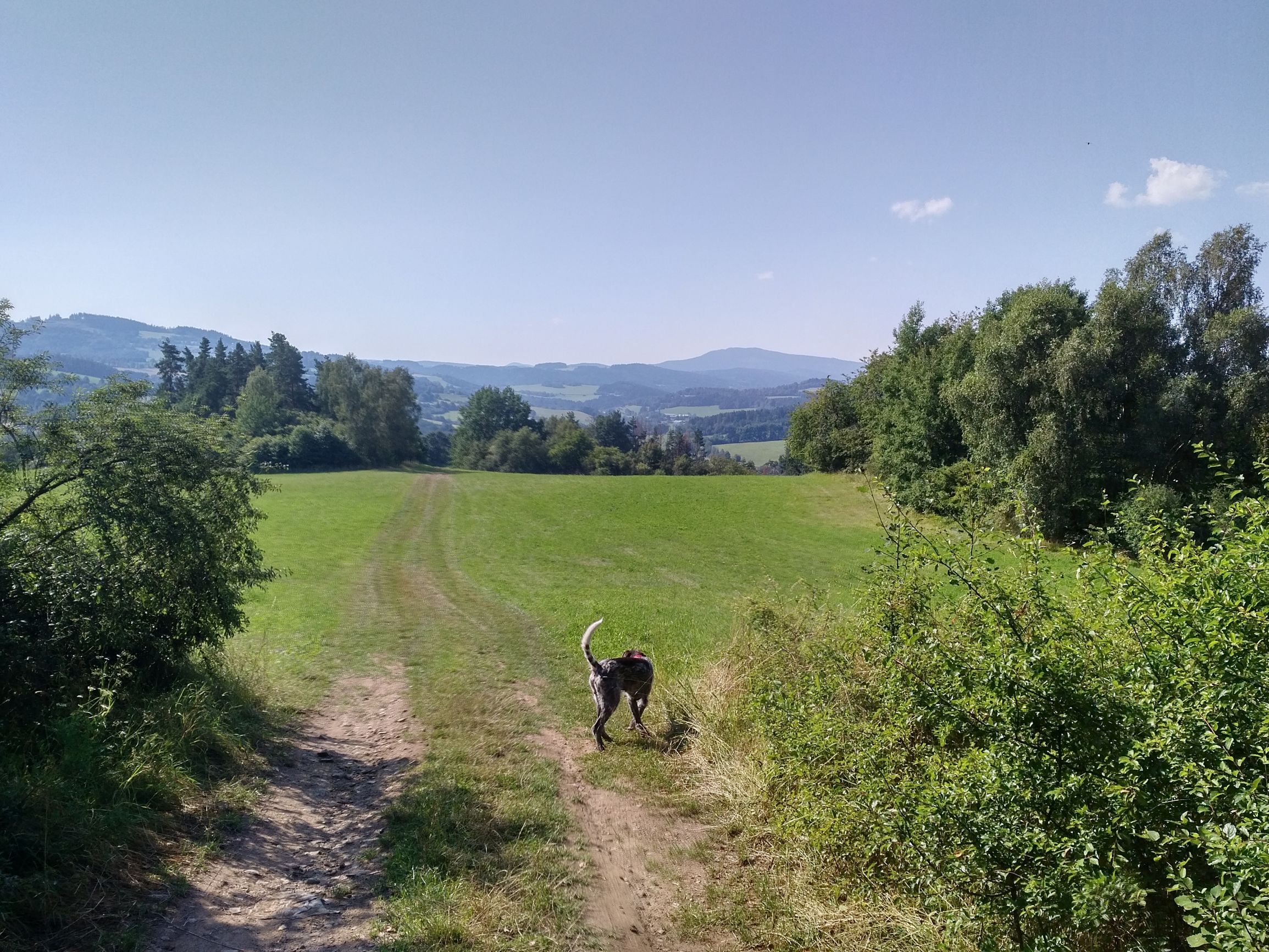 F_200808_0955041.jpg