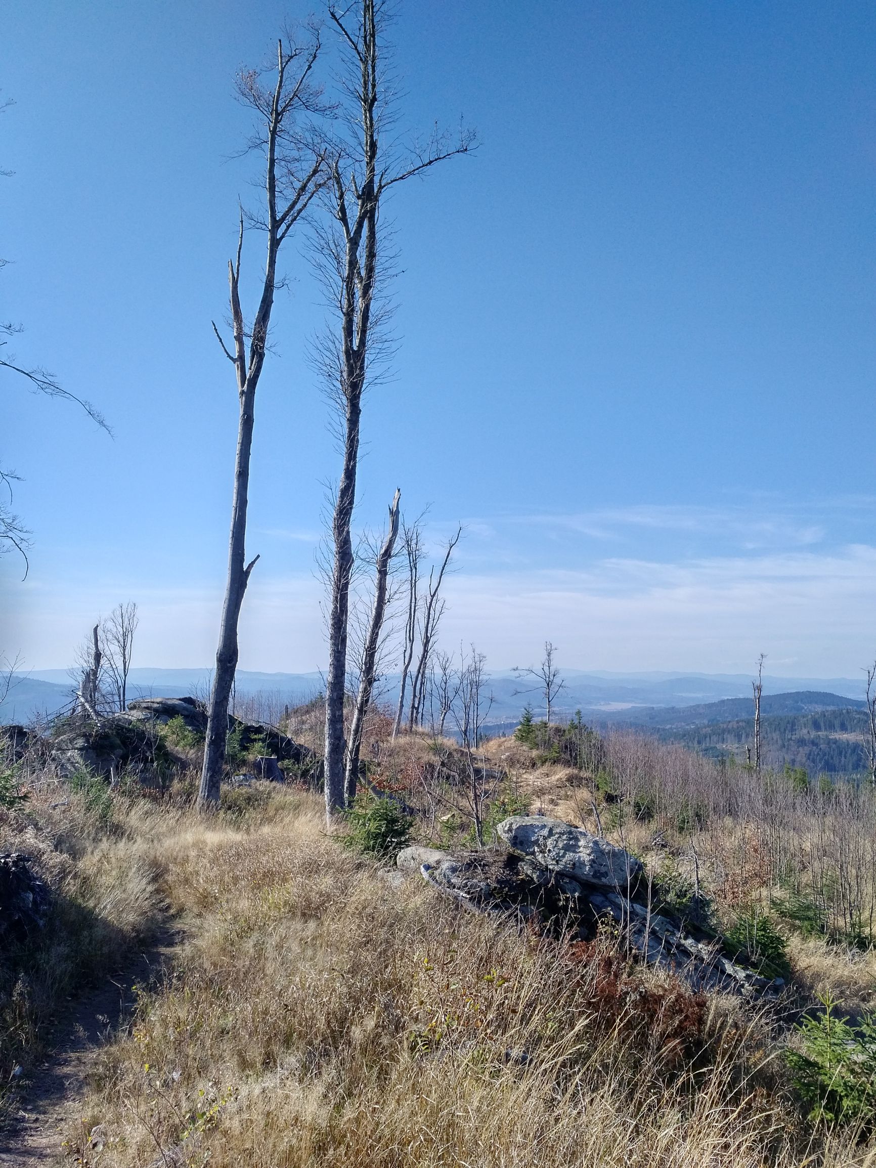 191027_1317265.jpg