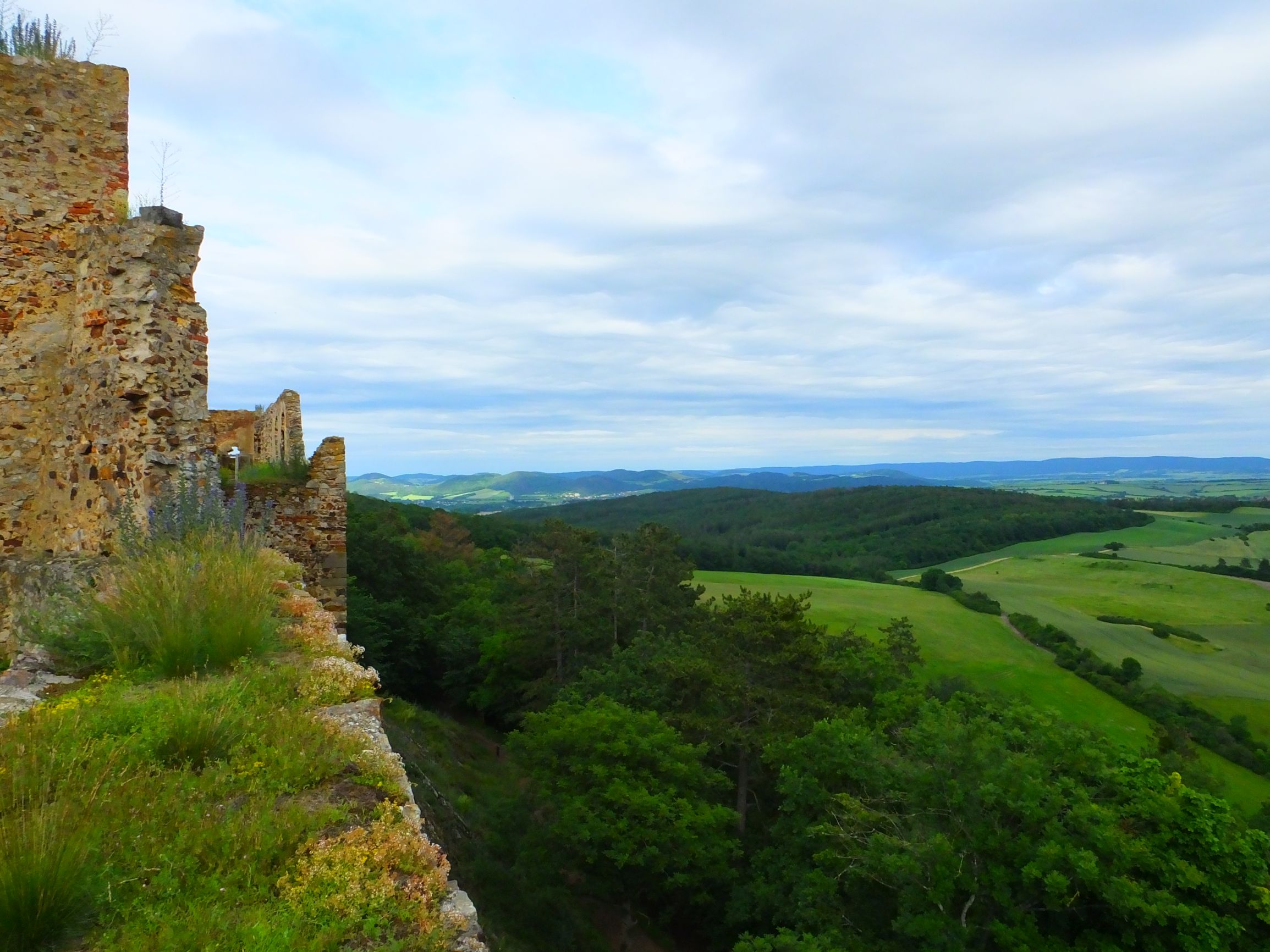 DSCF6785.JPG