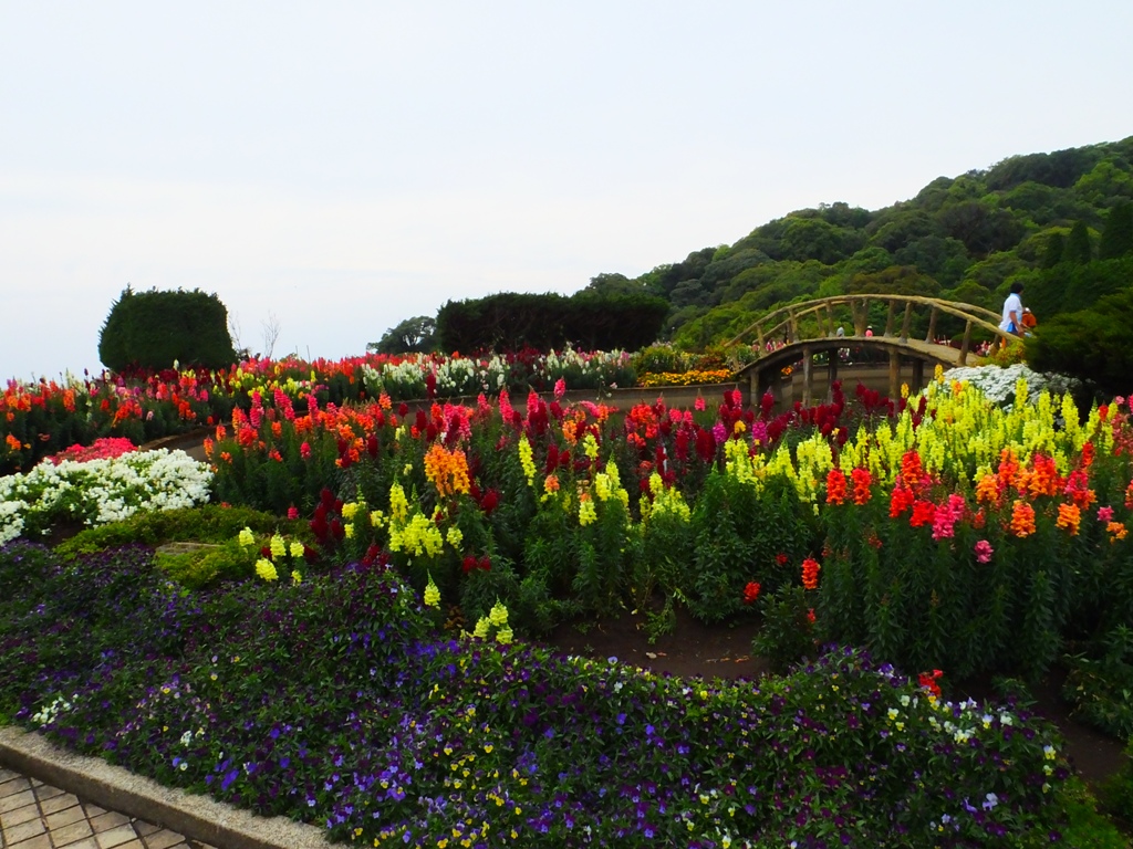 DSCF2888.JPG