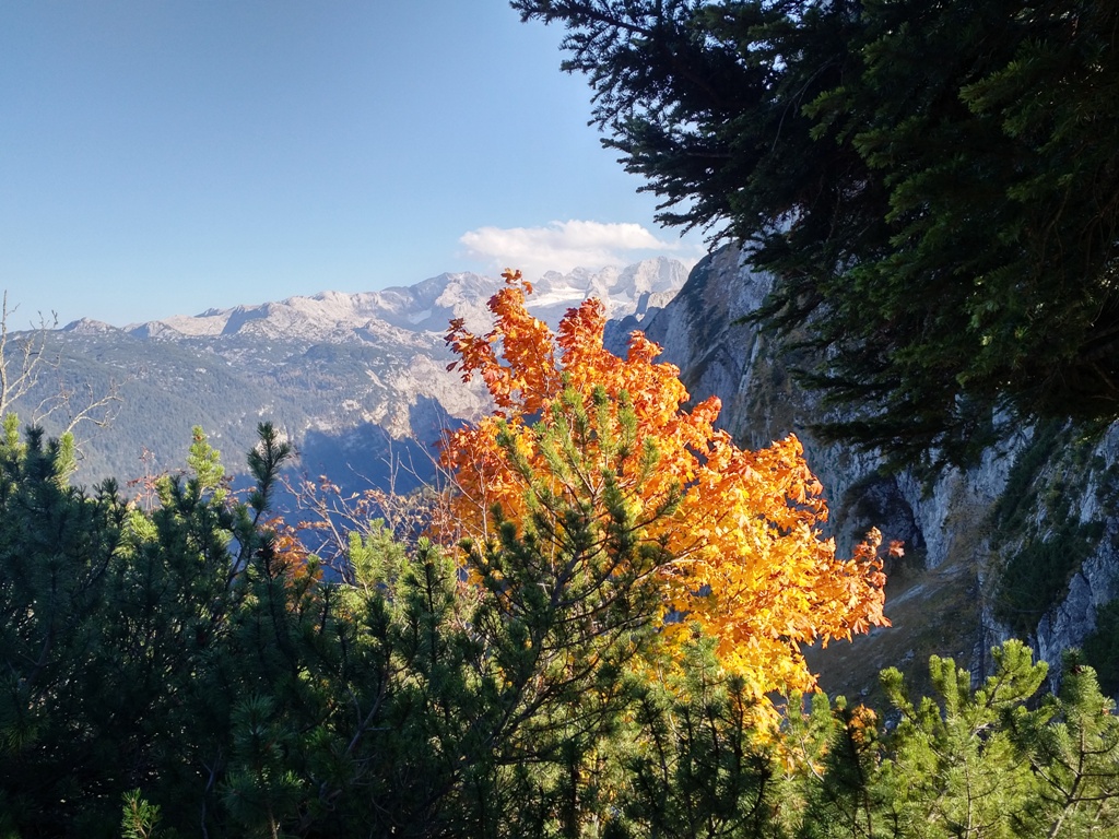 IMG (37).jpg