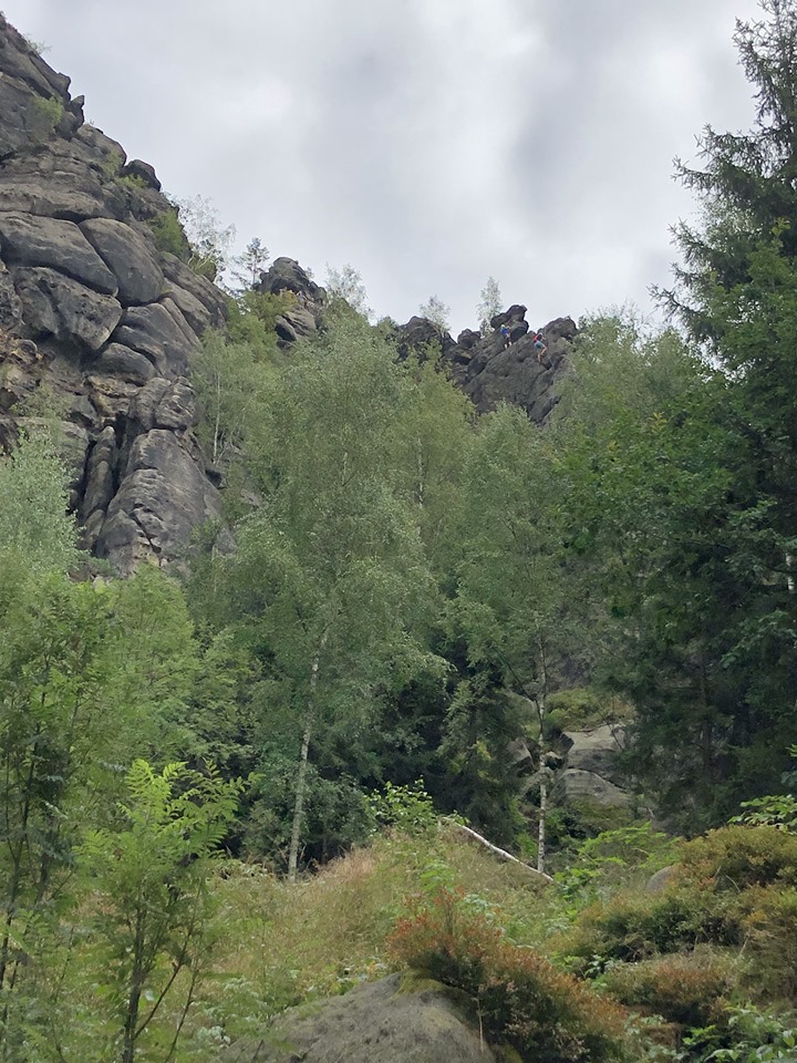 190817_154940.jpg