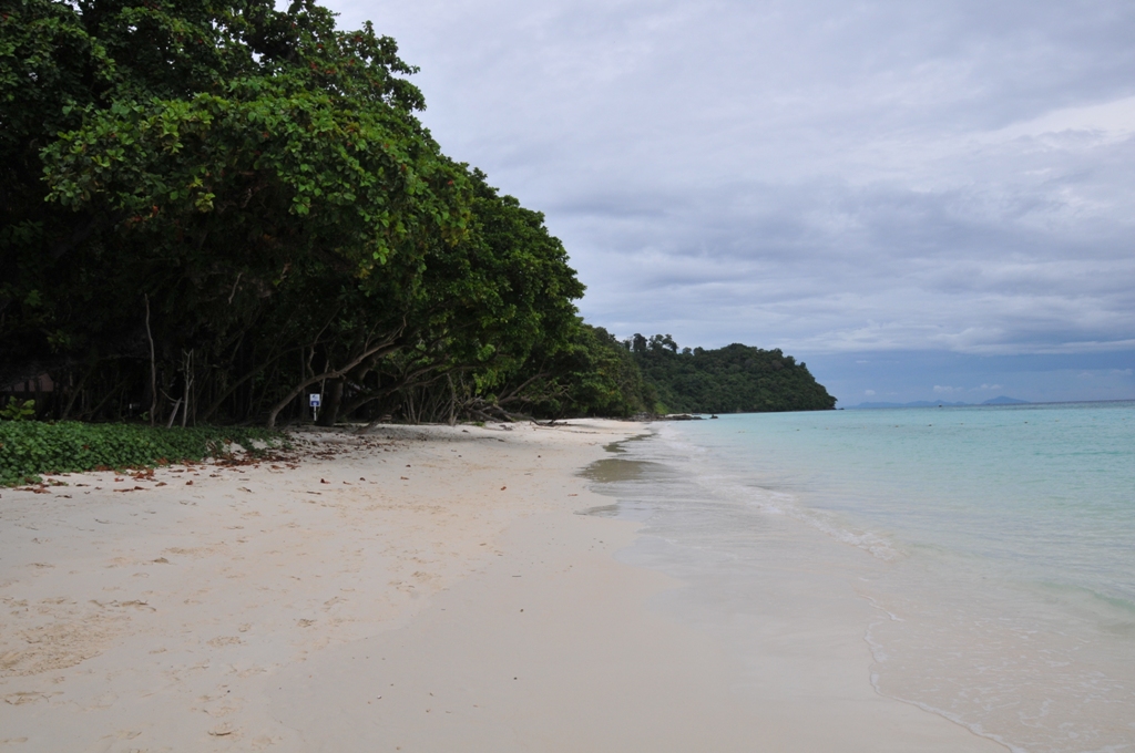 DSC_8164.JPG