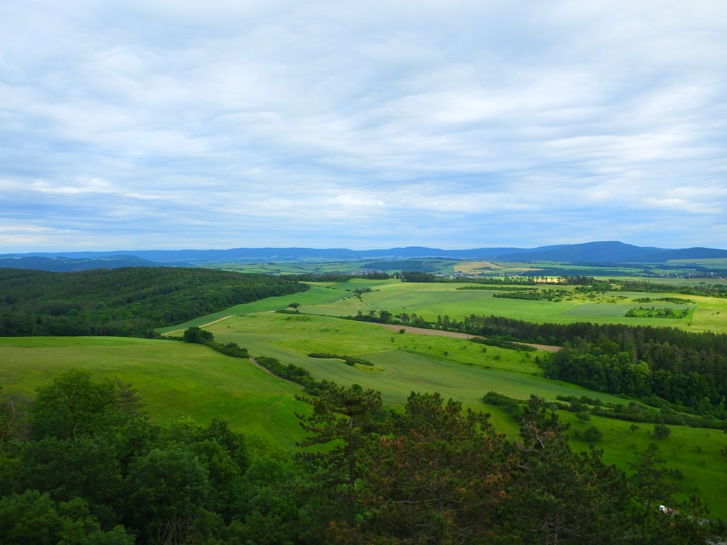 DSCF6765.JPG