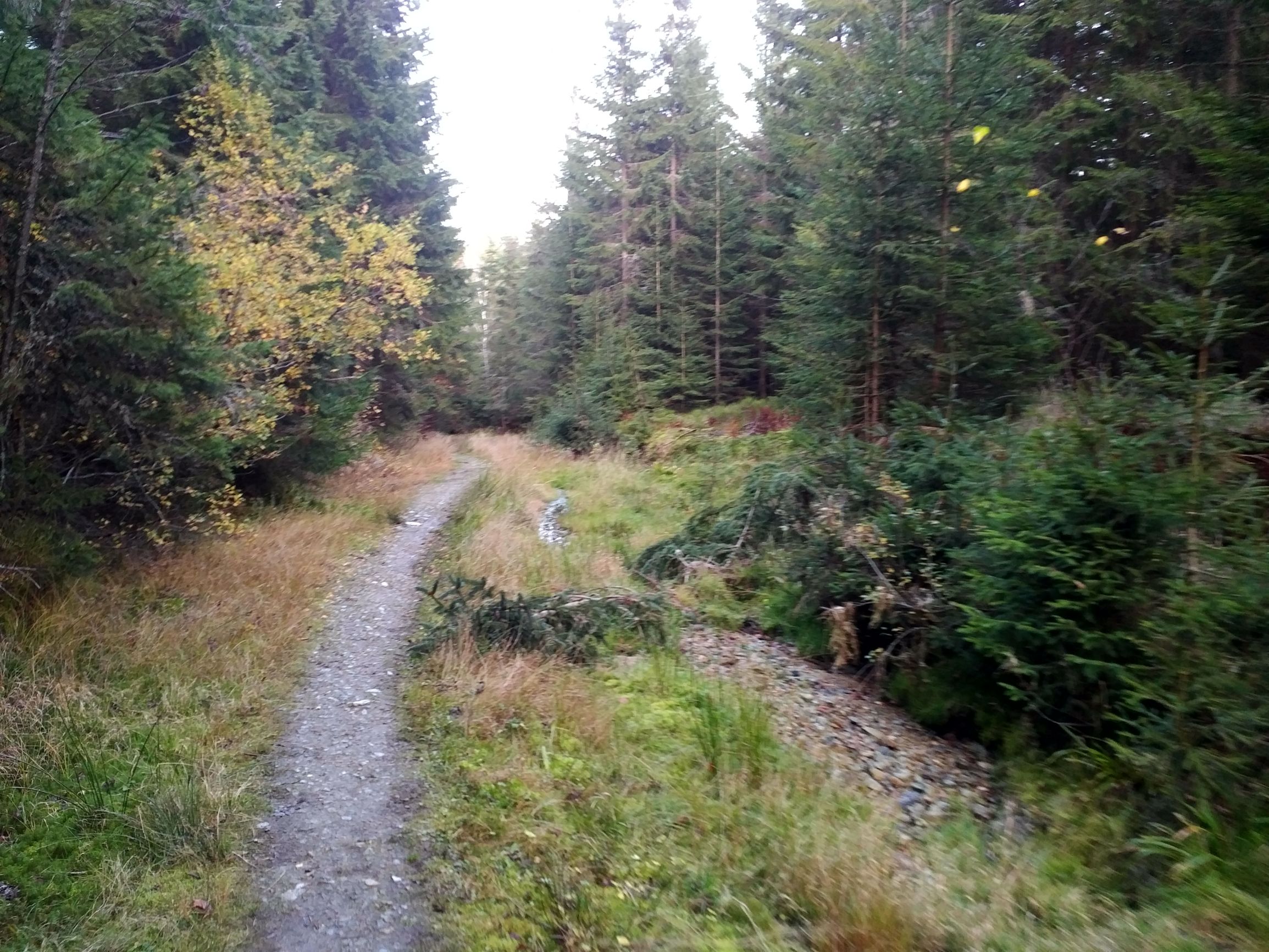 191026_1653122.jpg