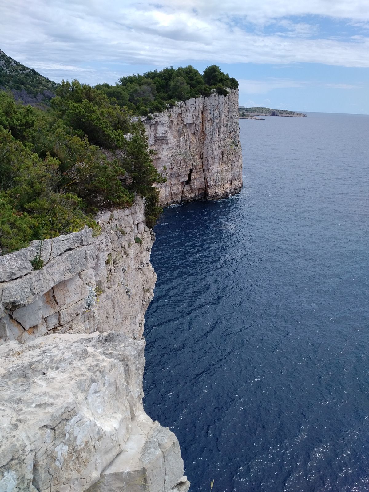 20190530_1315384.jpg