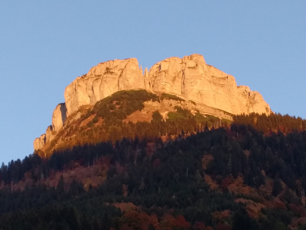 IMG (12).jpg