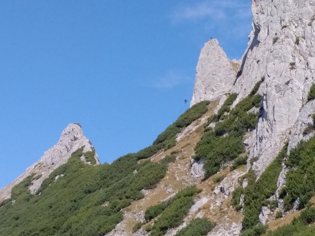 IMG (33).jpg