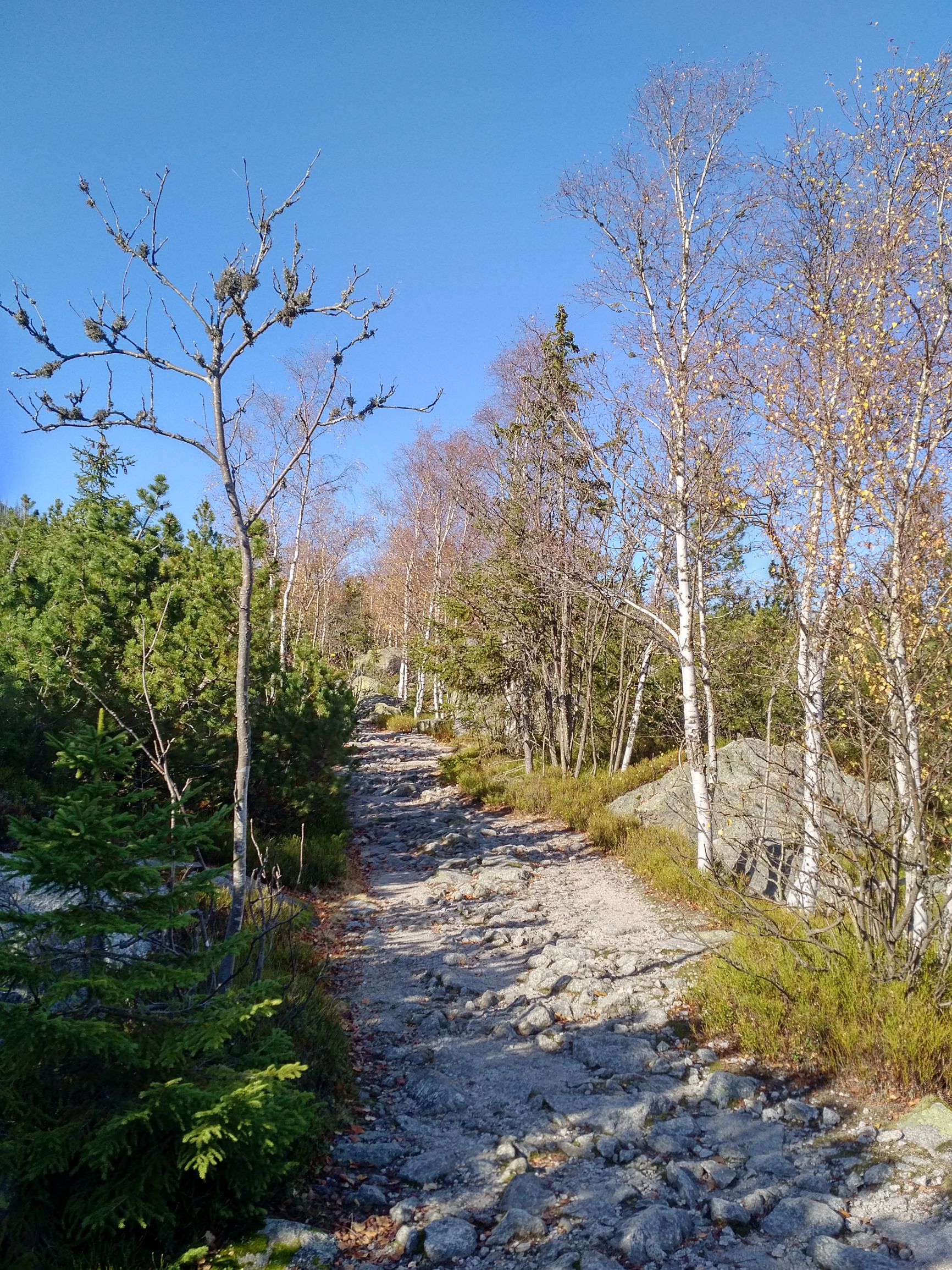 191026_1215221.jpg