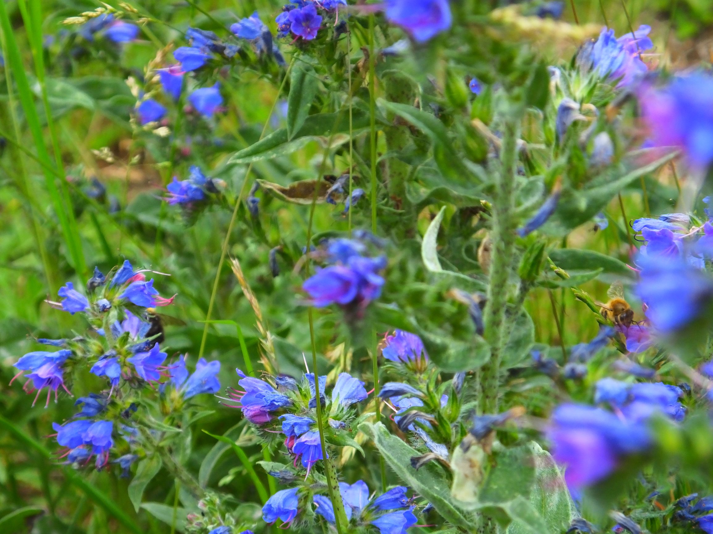 DSCF6771.JPG