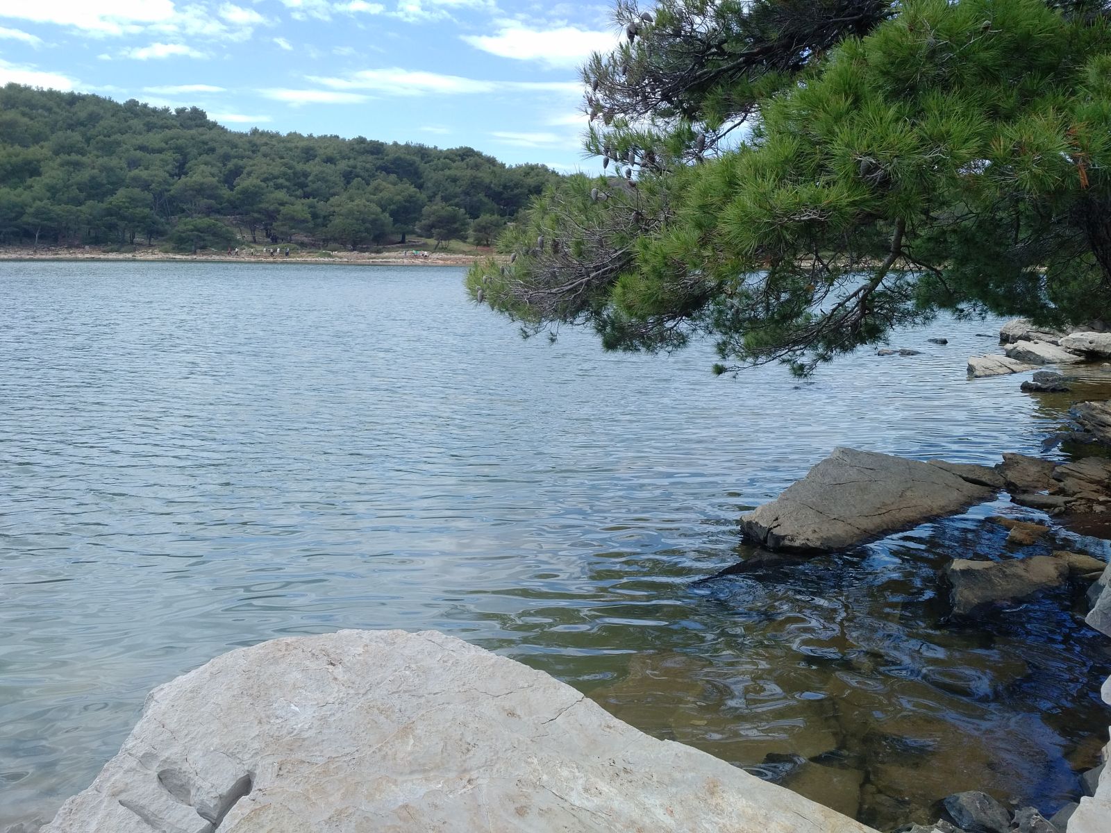 20190530_1439227.jpg