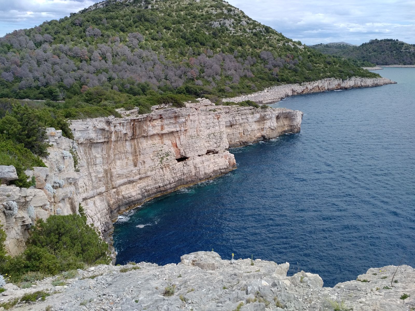 20190530_1337318.jpg