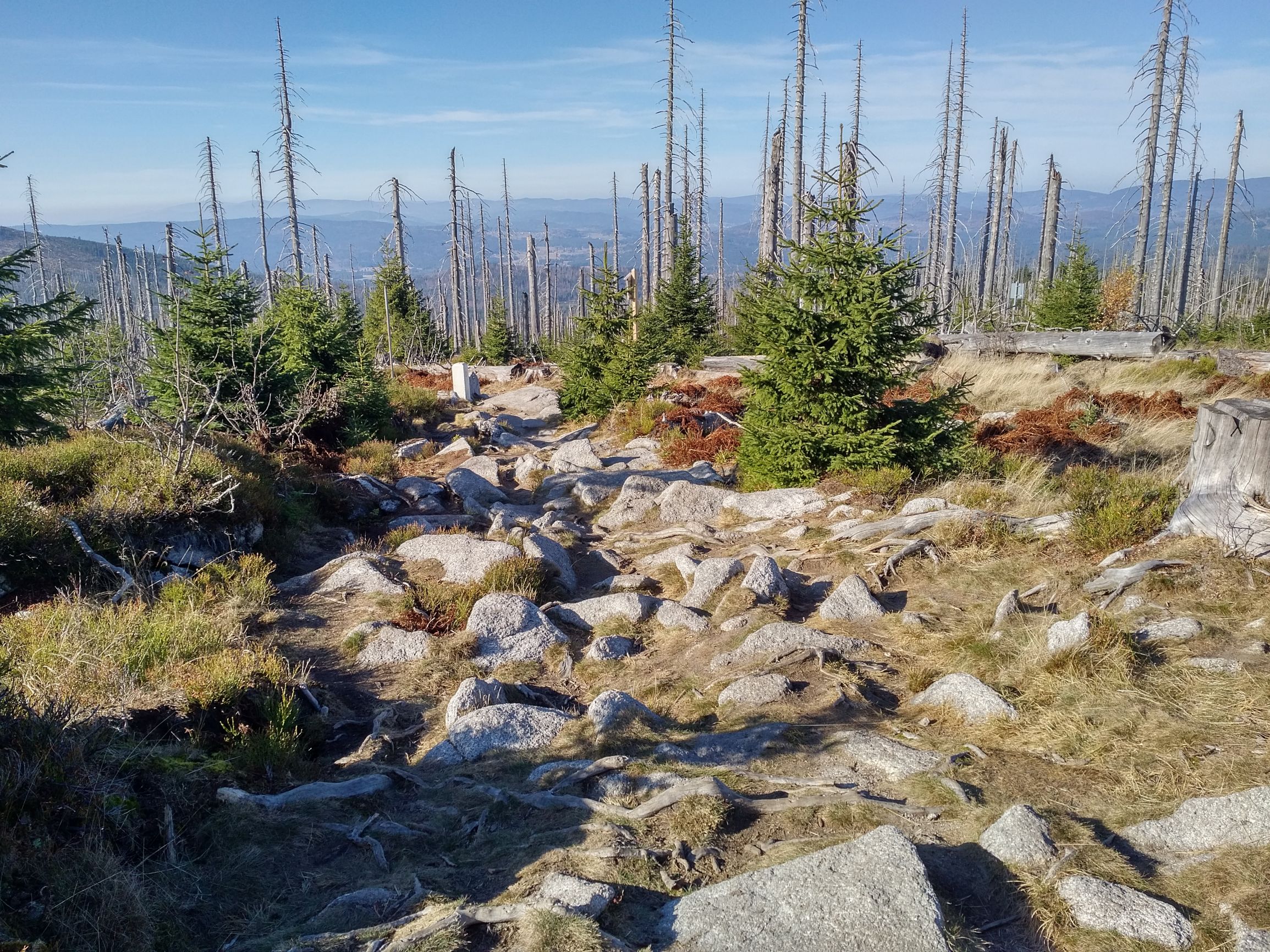 191026_1442119.jpg