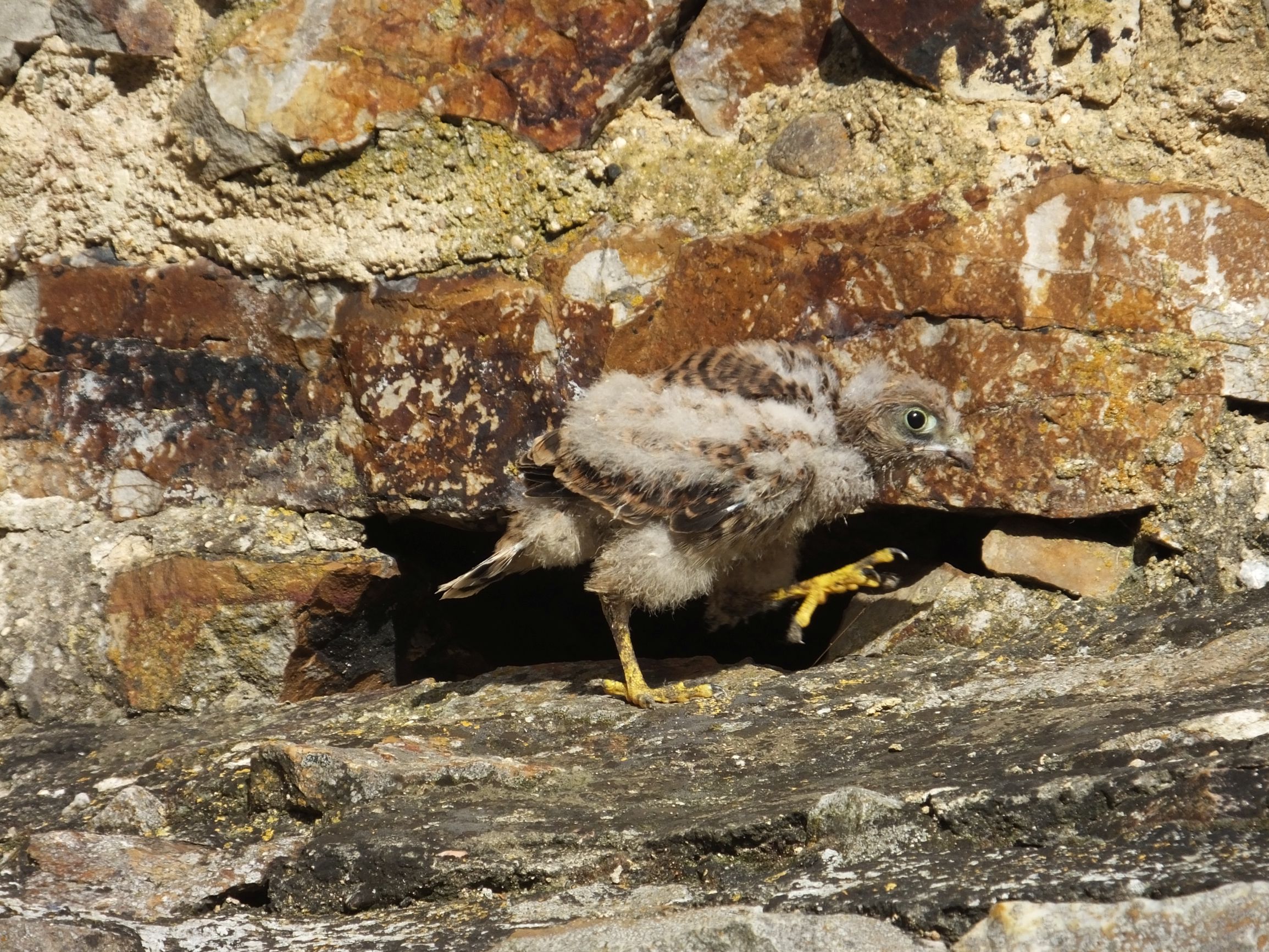 DSCF6790.JPG