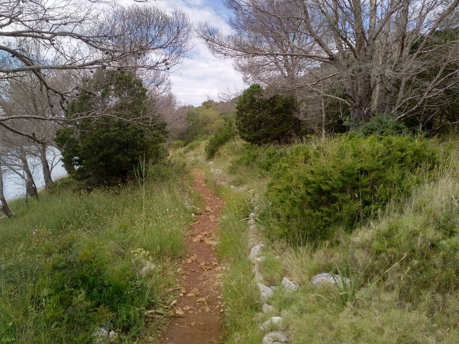 20190530_1432569.jpg
