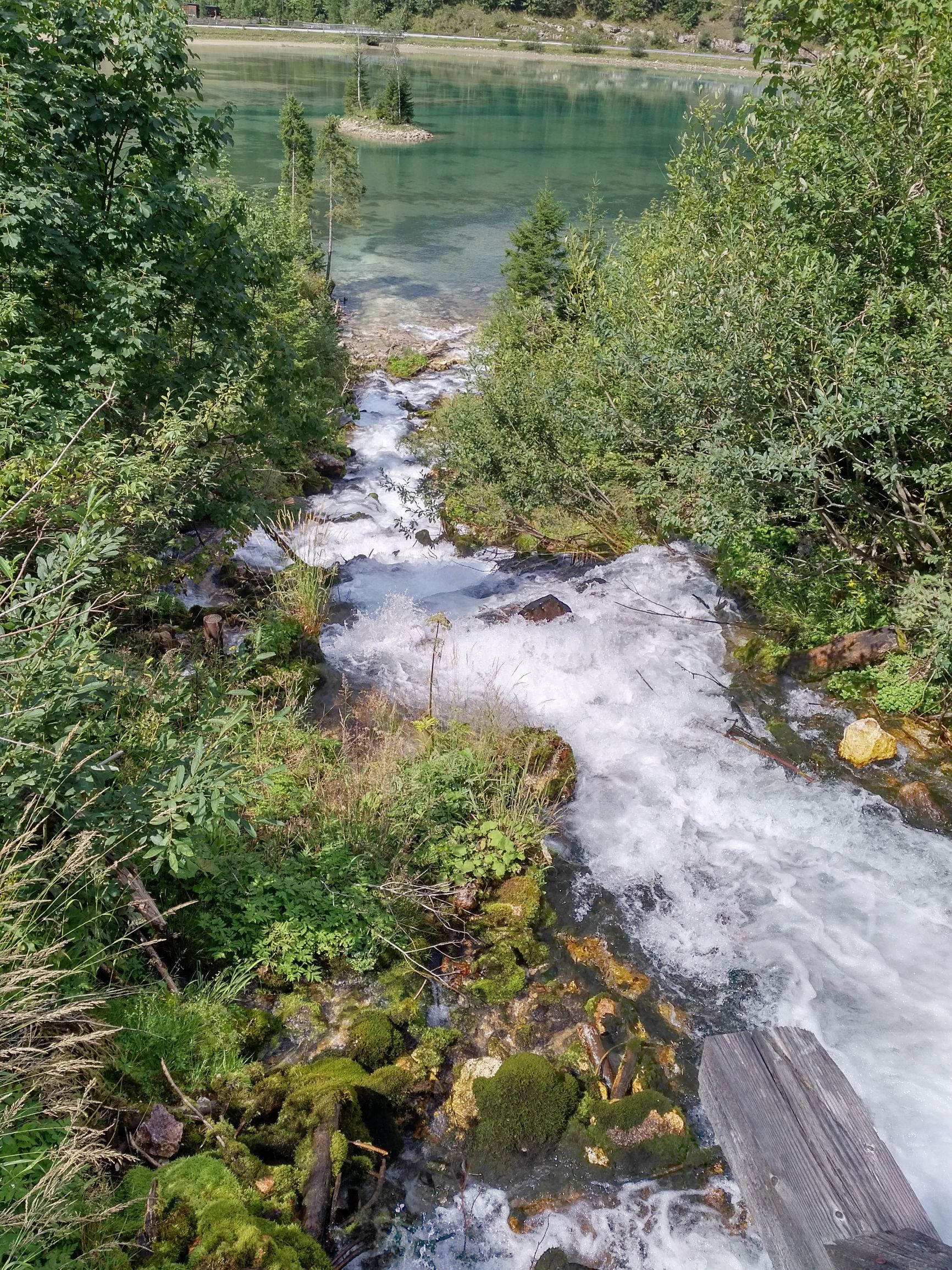 190901_1314303.jpg