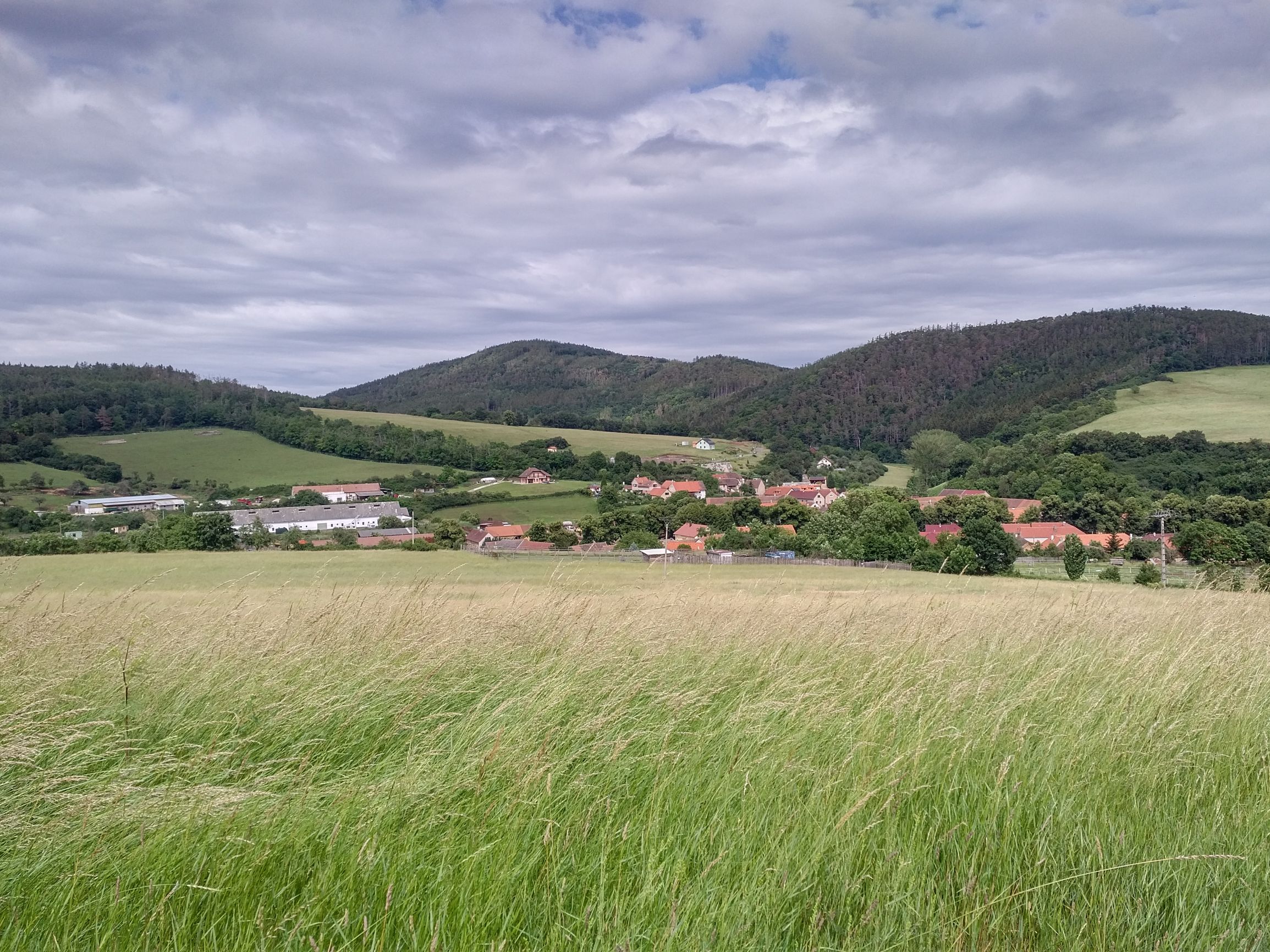 Vylet Zebrak Tocnik