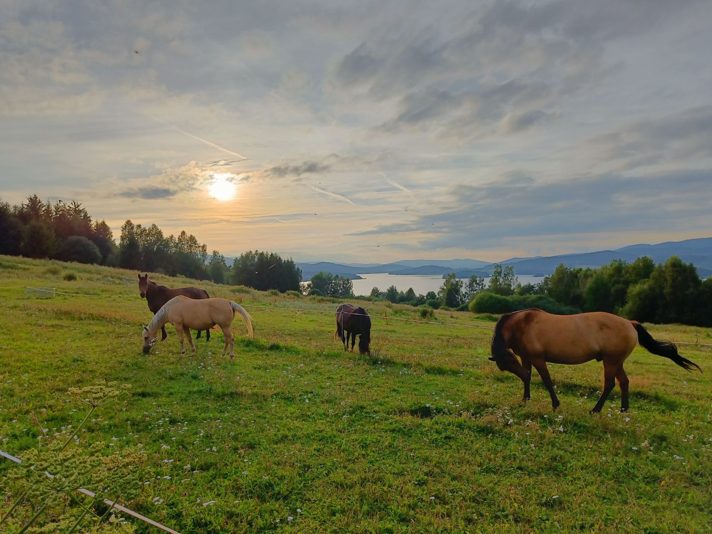 Motovylet na Lipno