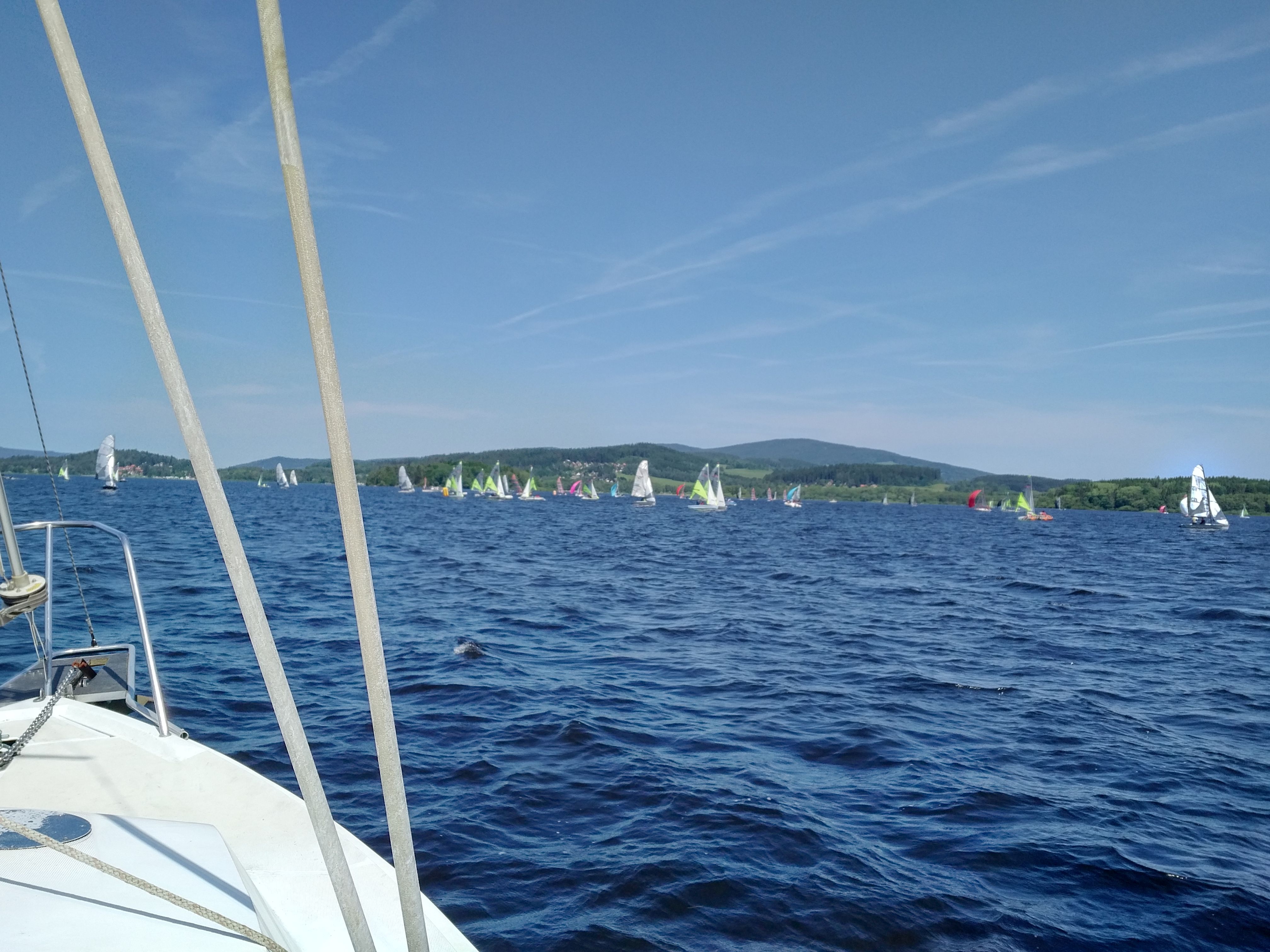 IMG_20190609_1141430.jpg