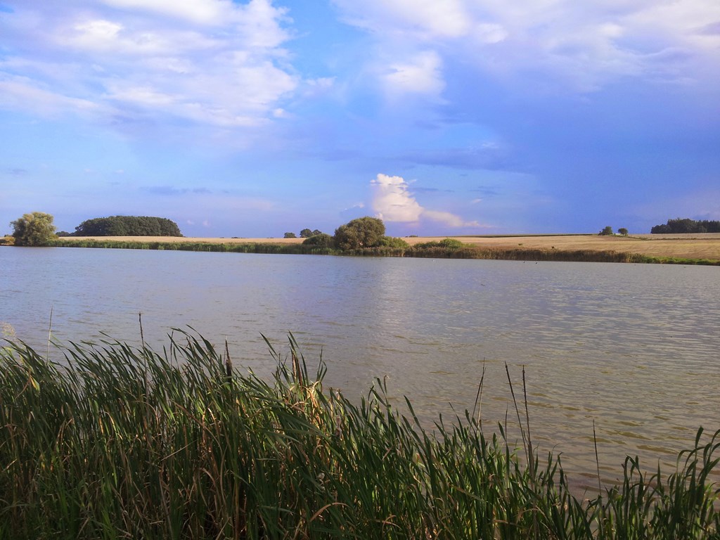 20140907_172315.jpg