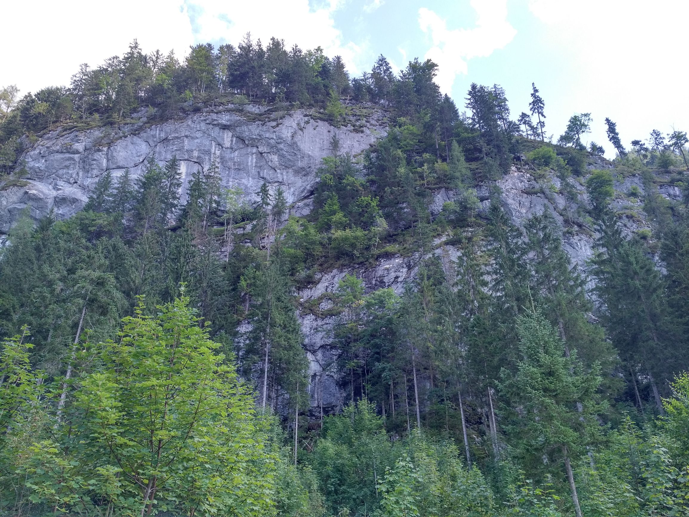 190901_1052422.jpg