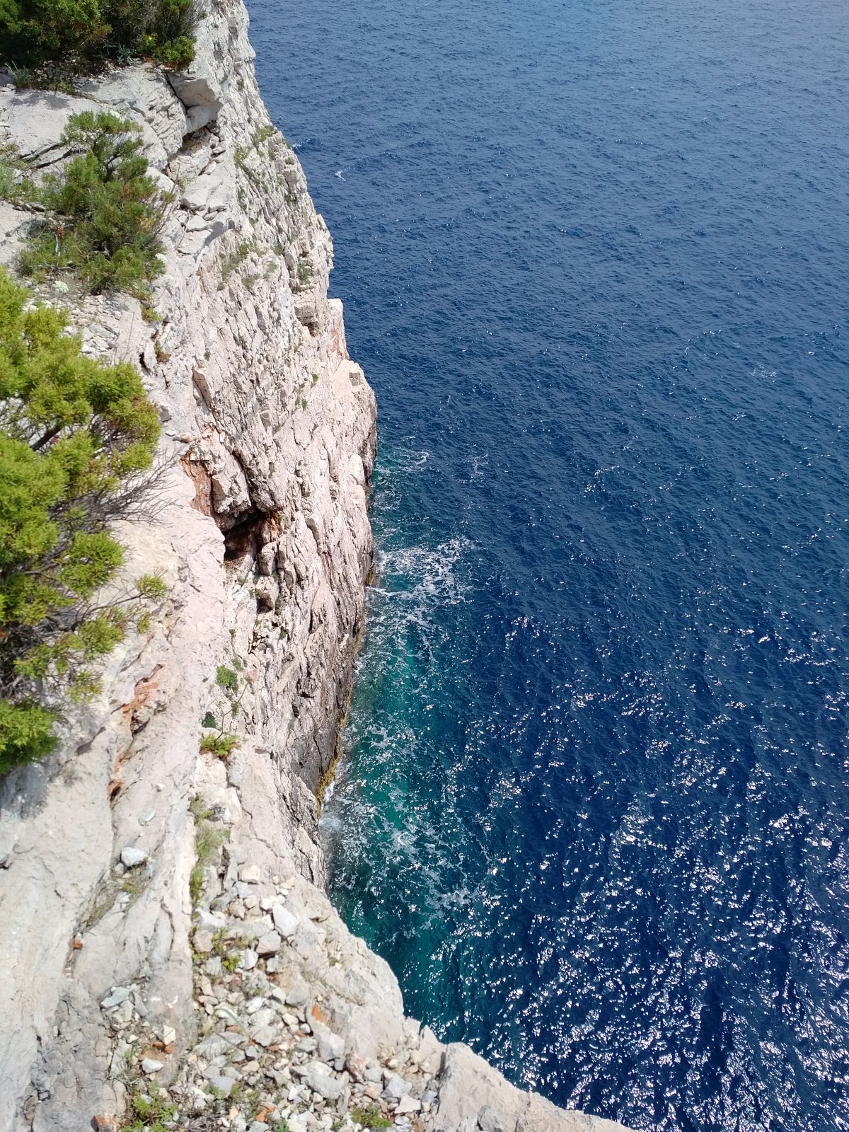 20190530_1342329.jpg