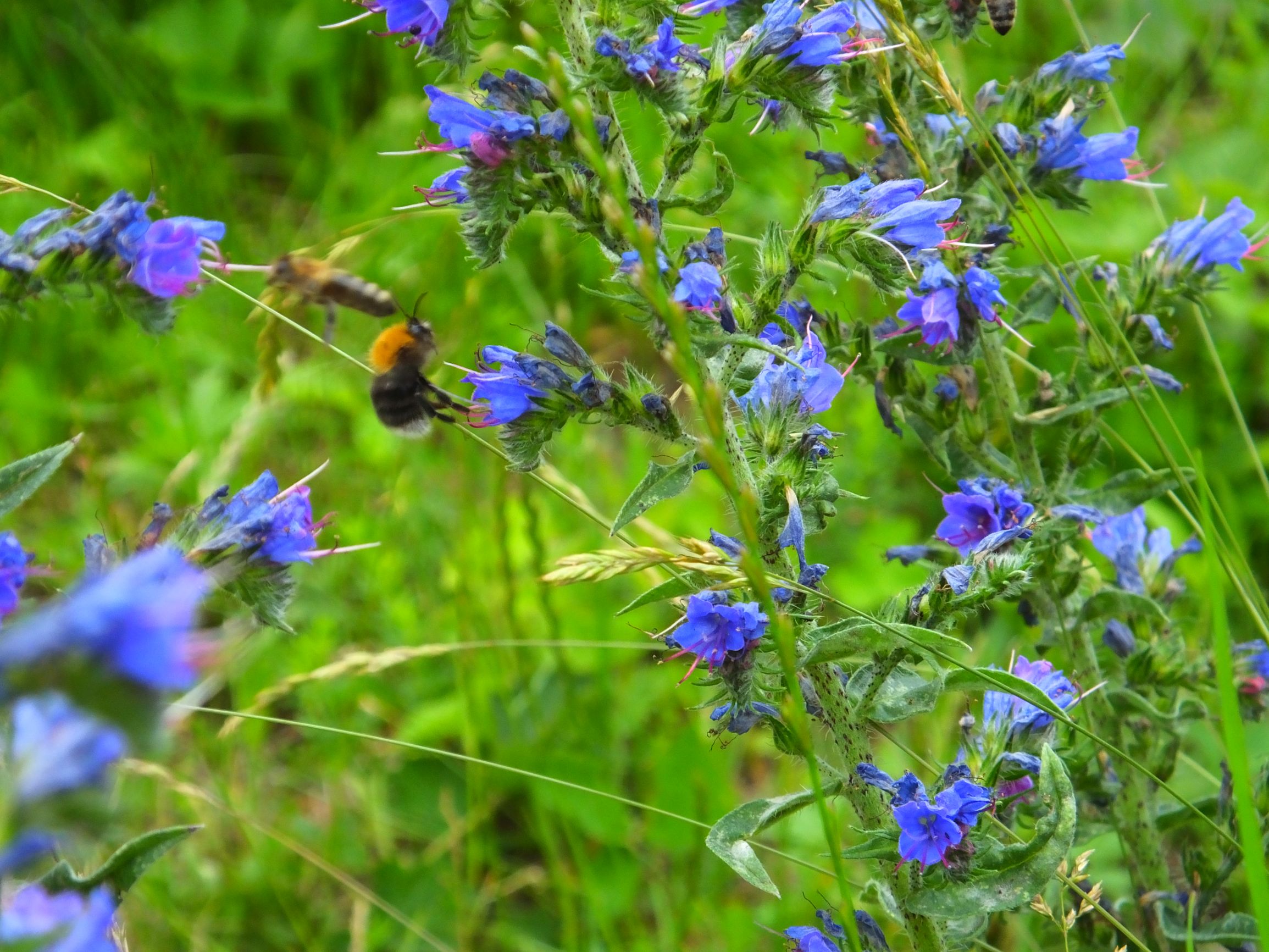 DSCF6773.JPG