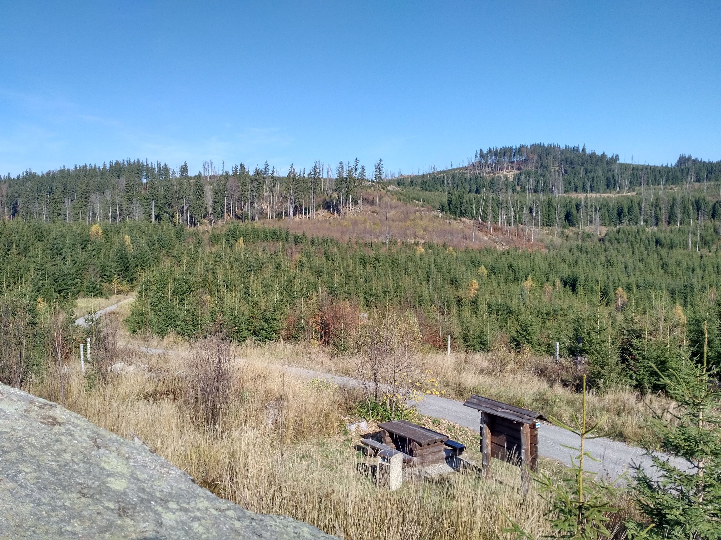 191027_1117362.jpg