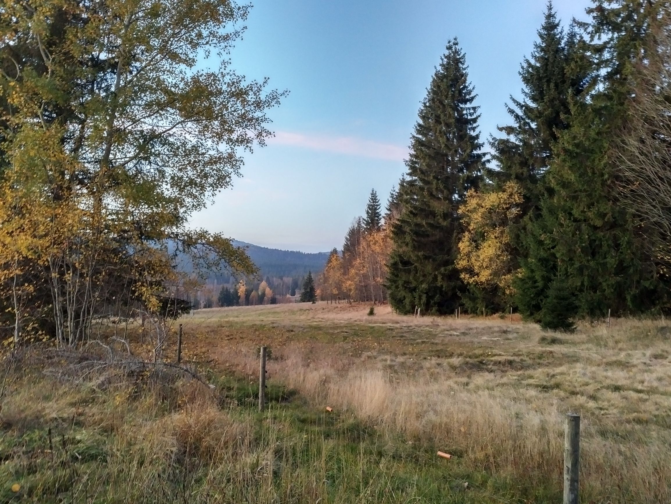 191026_1806483.jpg
