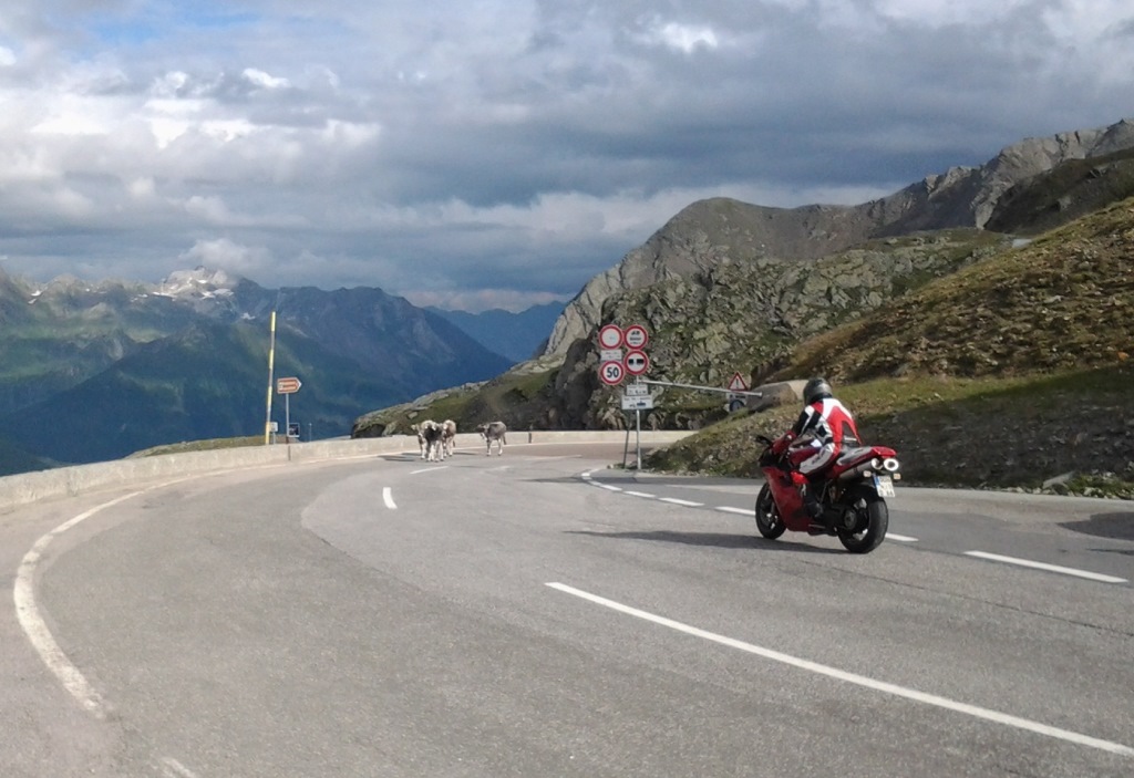 20140807_172919.jpg