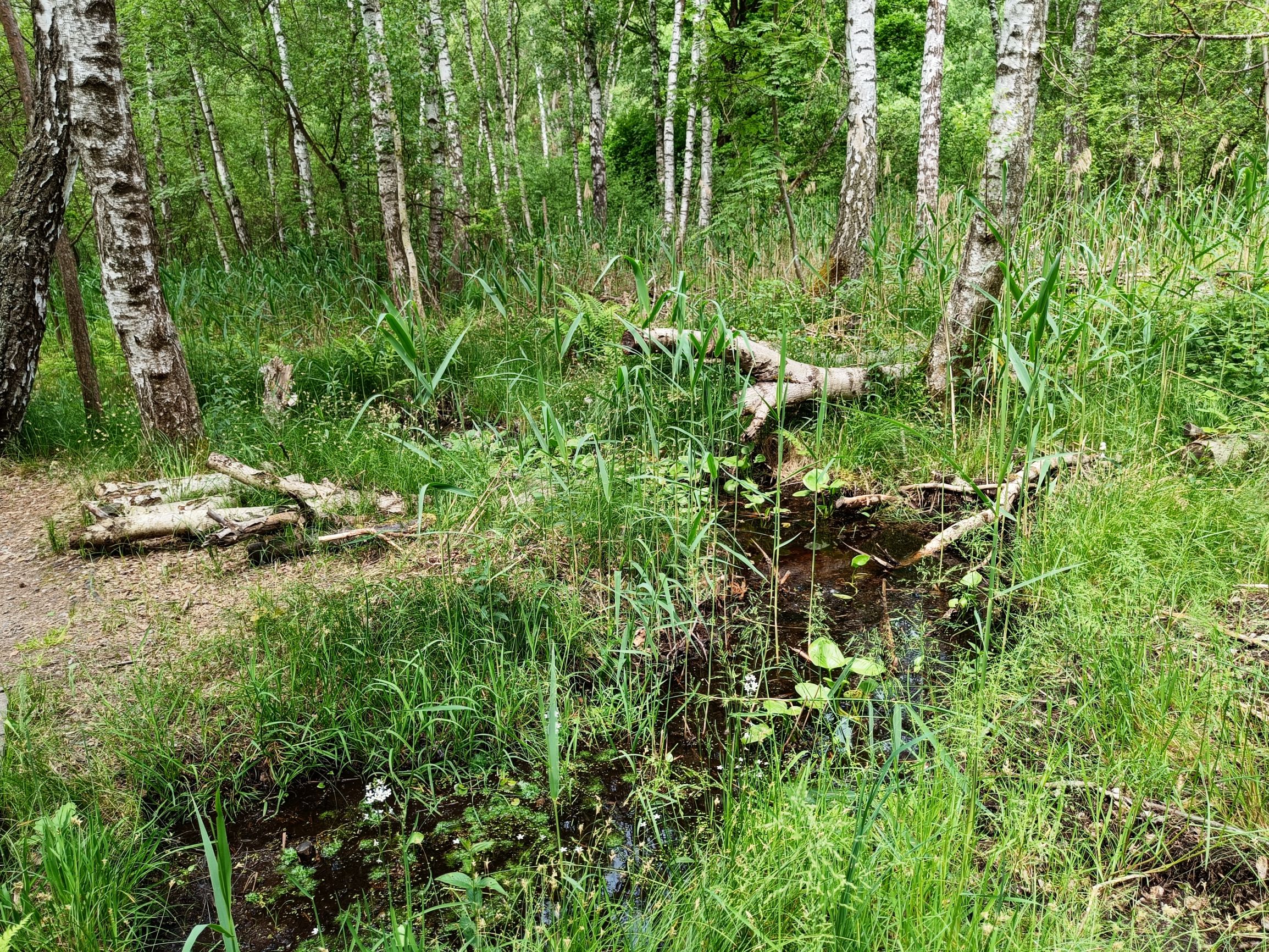 230604-115837.jpg