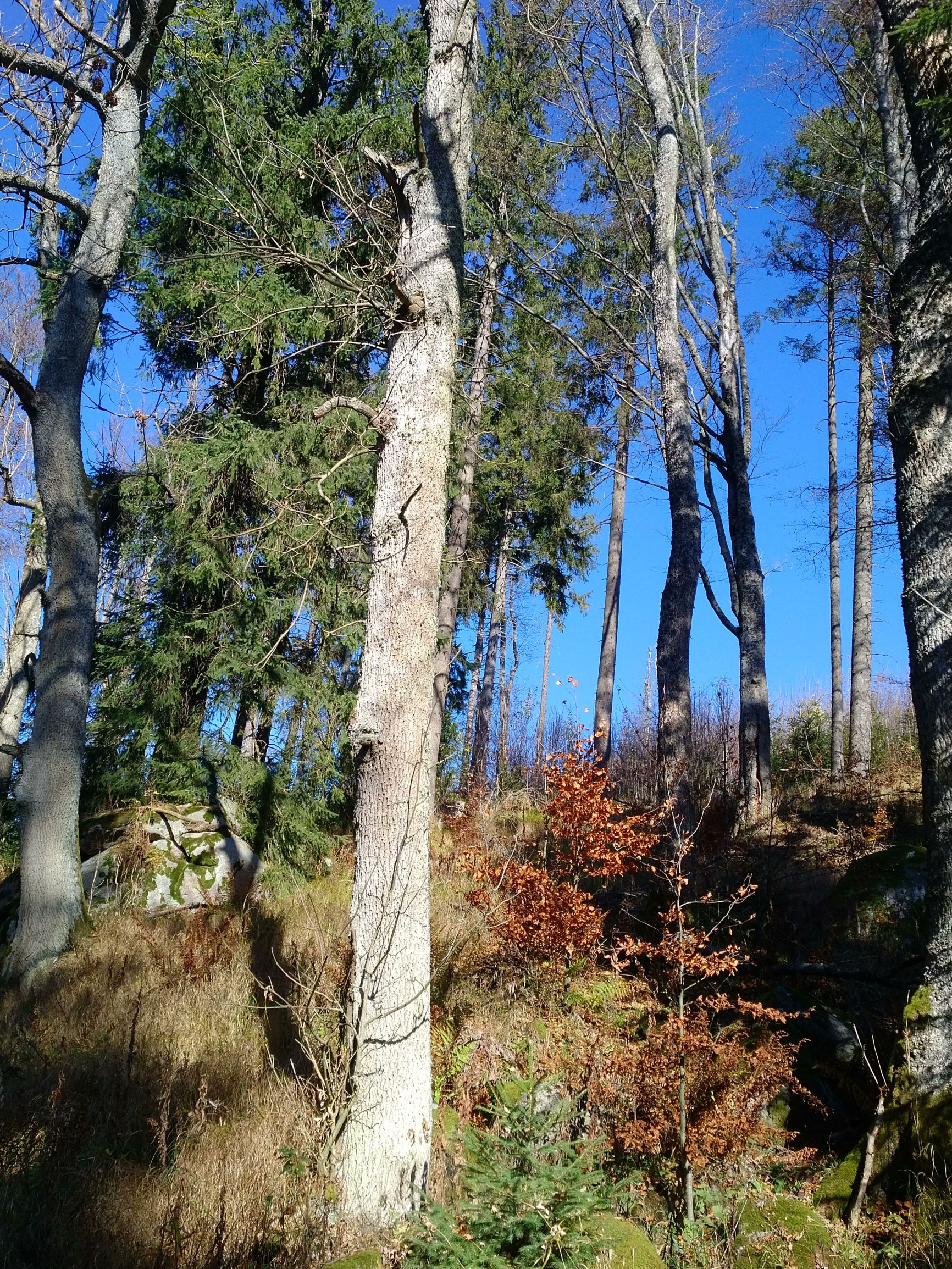 191027_1211540.jpg