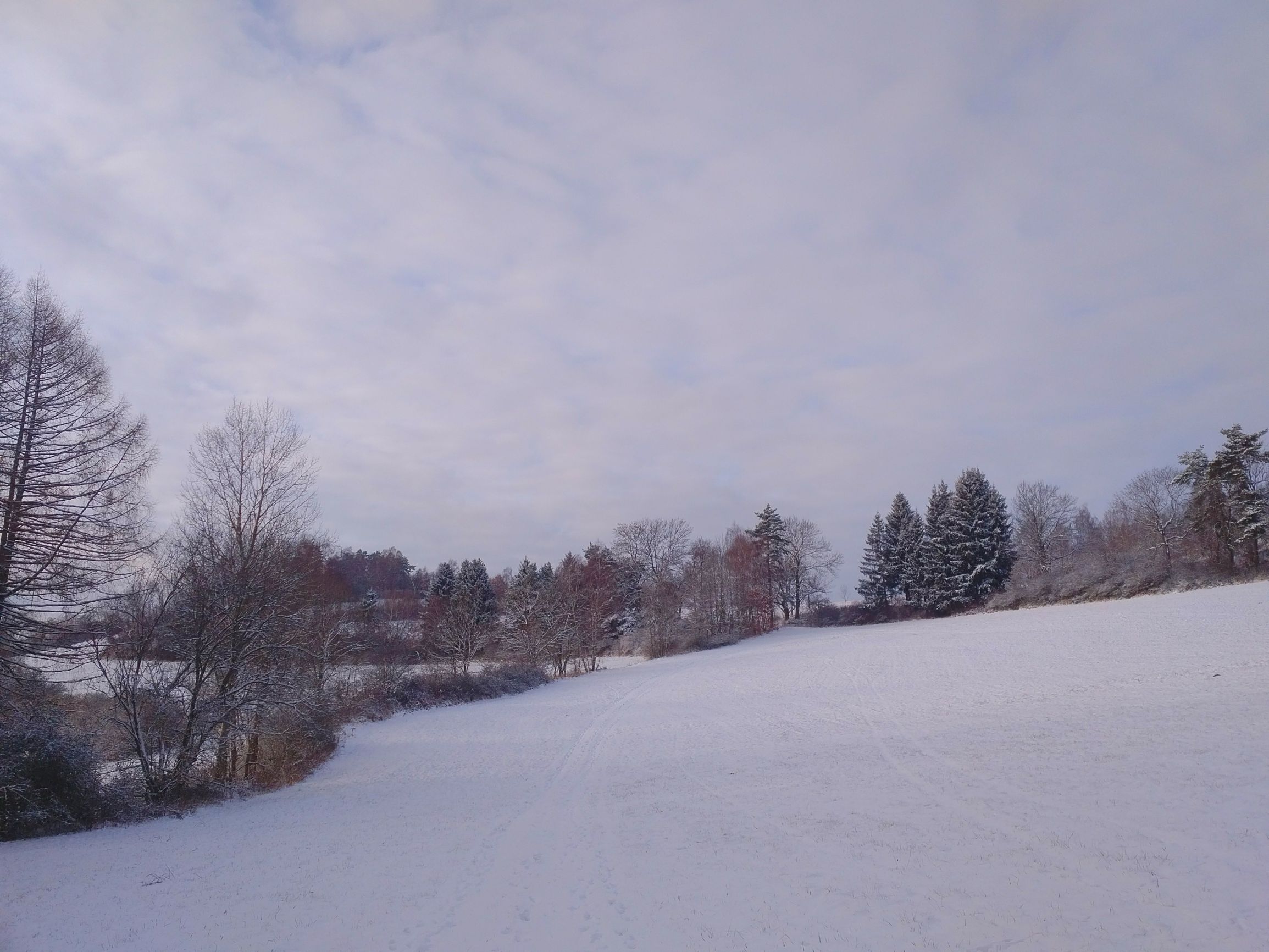 211226_134341.jpg