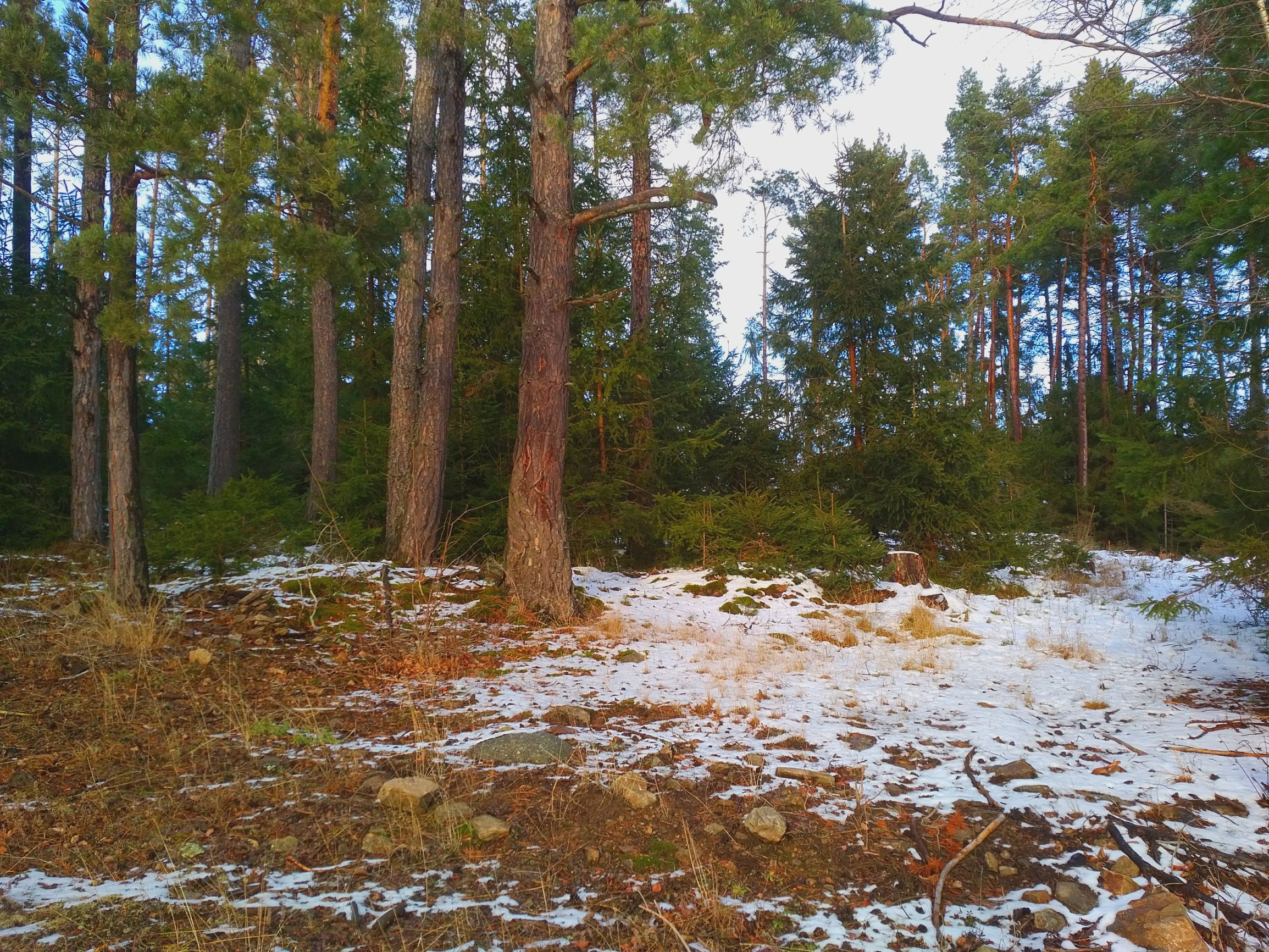 211228_145231.jpg
