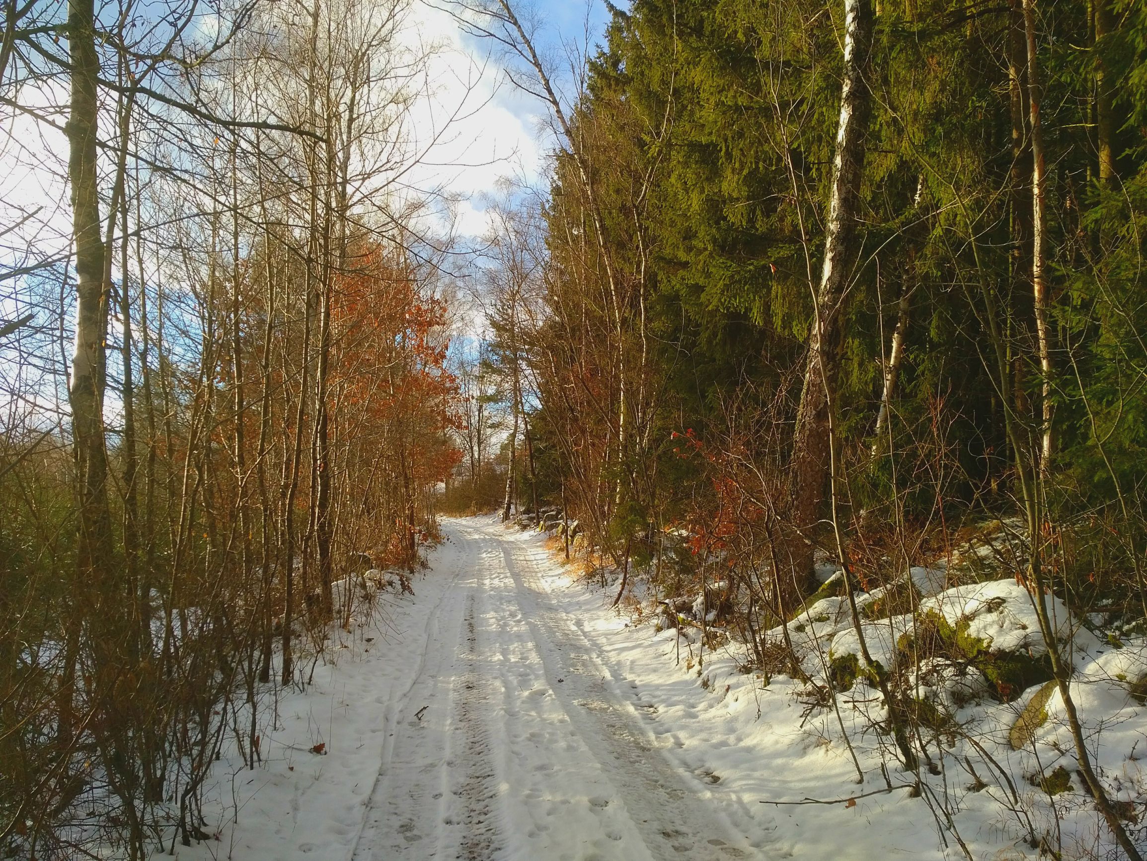 211228_145552.jpg