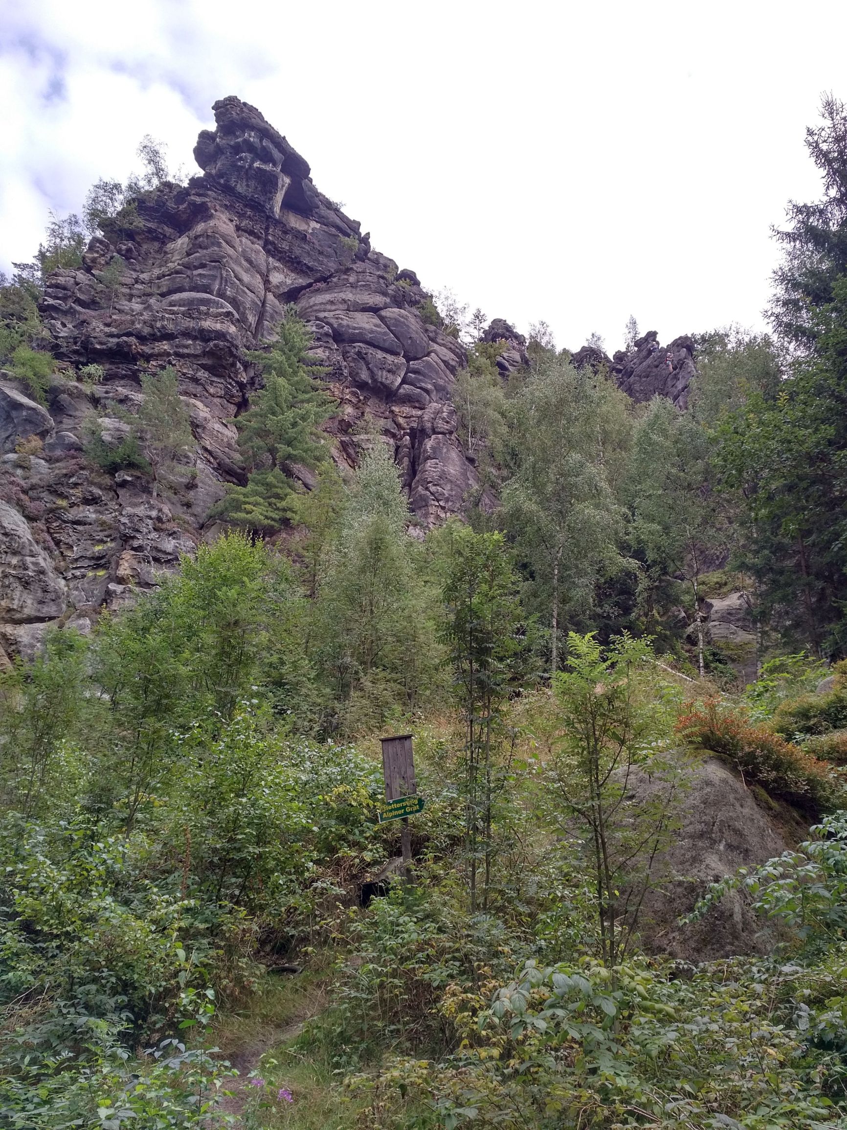 190817_154939.jpg