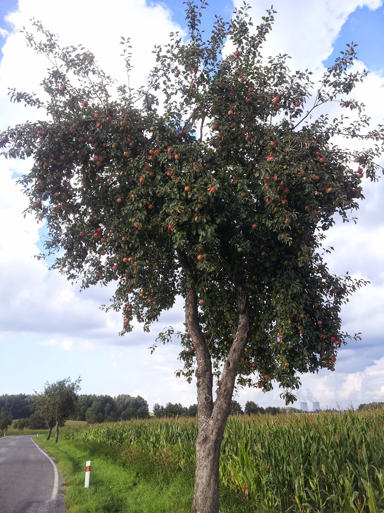 20140907_174230.jpg
