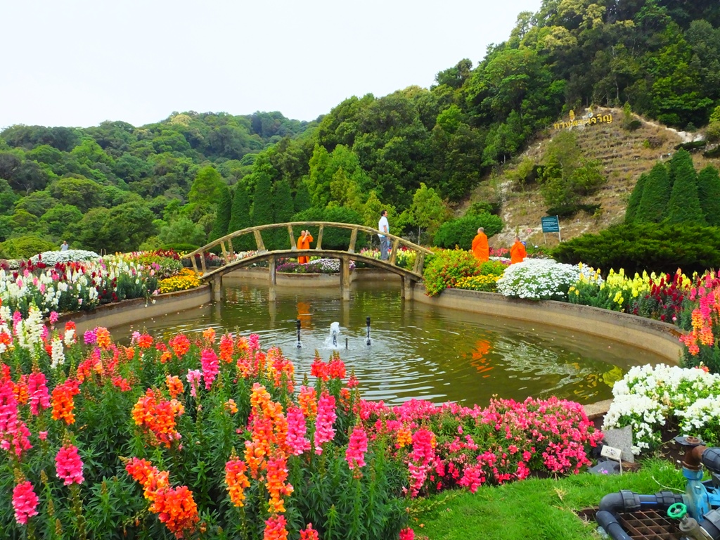 DSCF2890.JPG