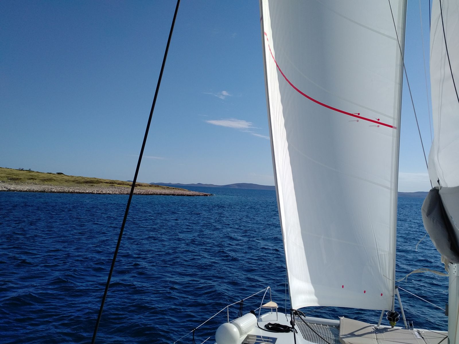20190529_1729370.jpg