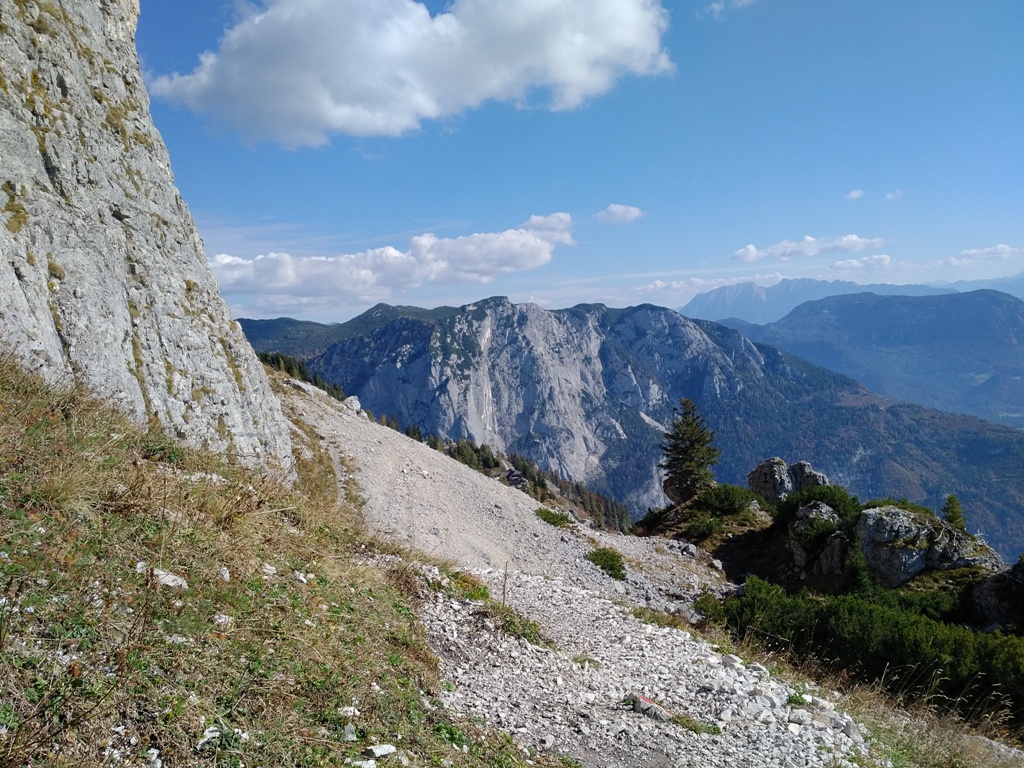 IMG (3).jpg